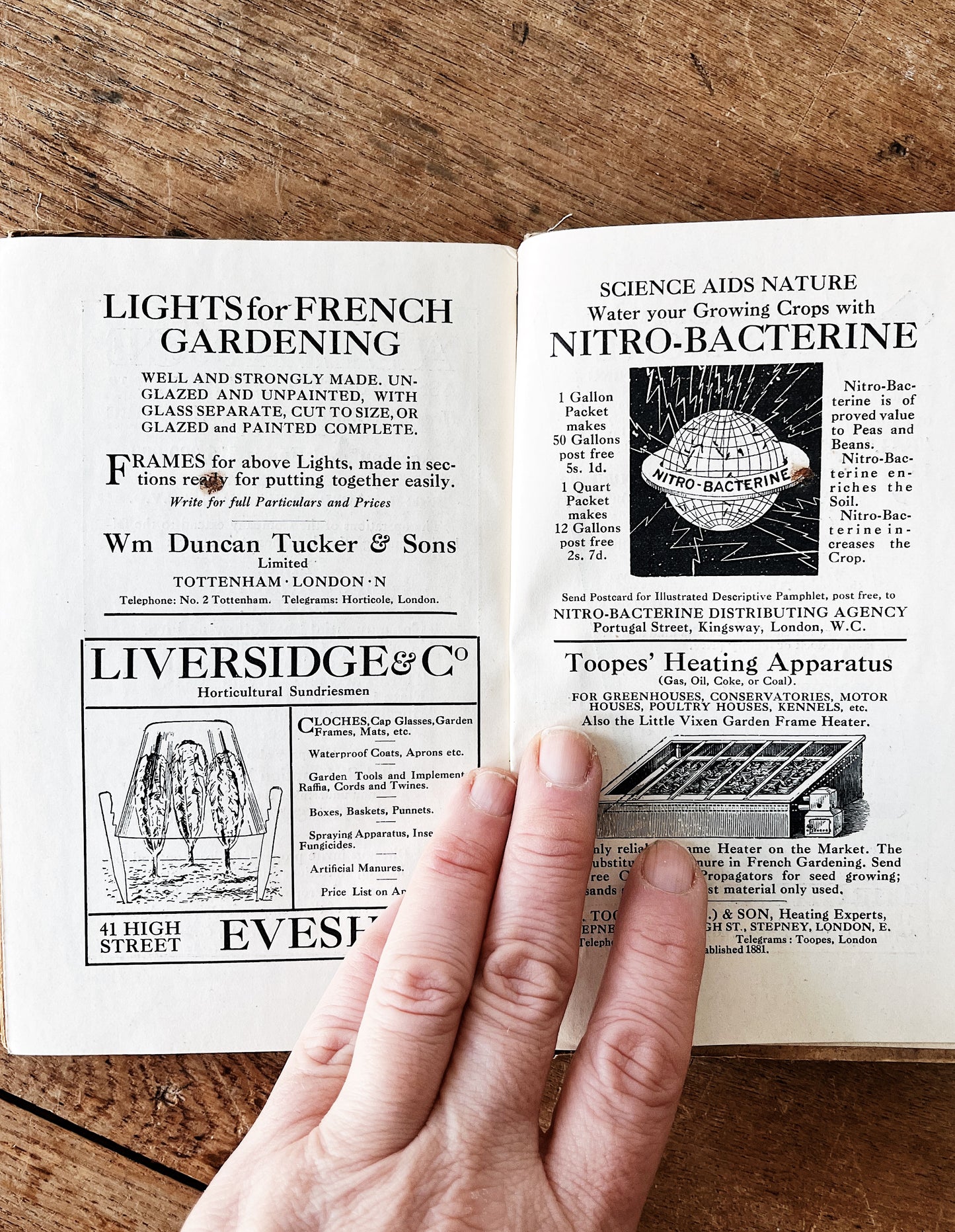 Antique Gardening Book