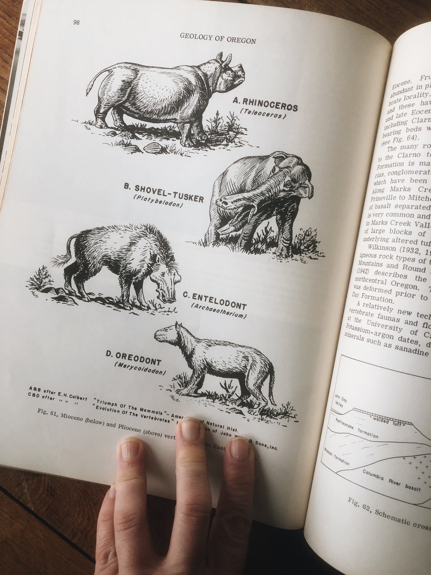 Vintage Oregon Geology Book