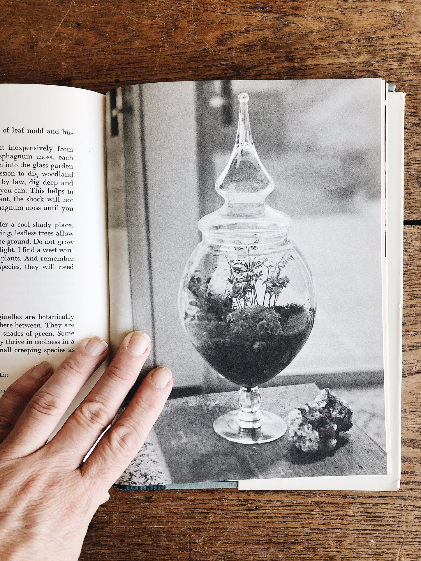 Vintage Terrarium Gardening Book