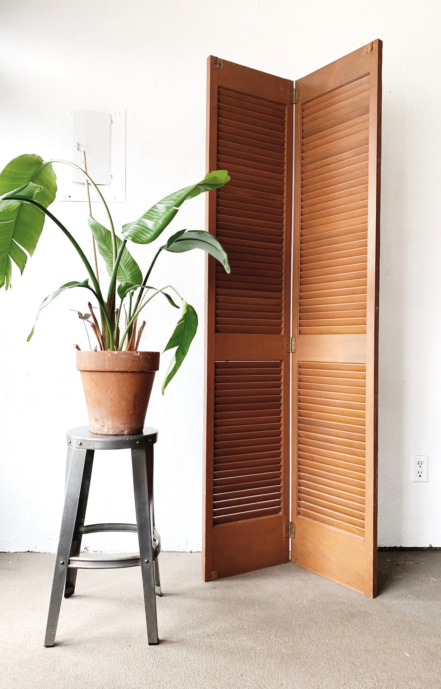 Tall Vintage Wood Shutters / Privacy Screen