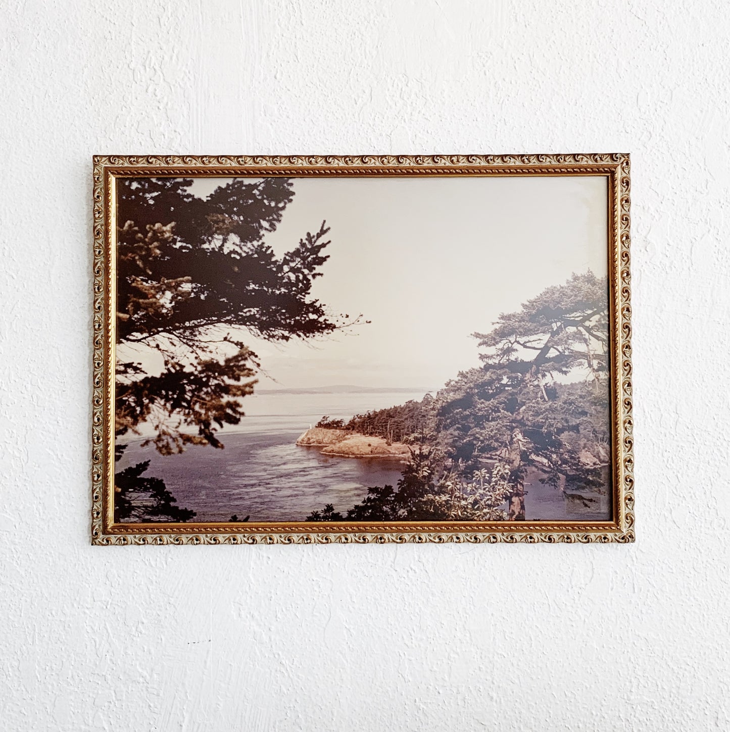 Large Vintage Framed Coastal Photograph