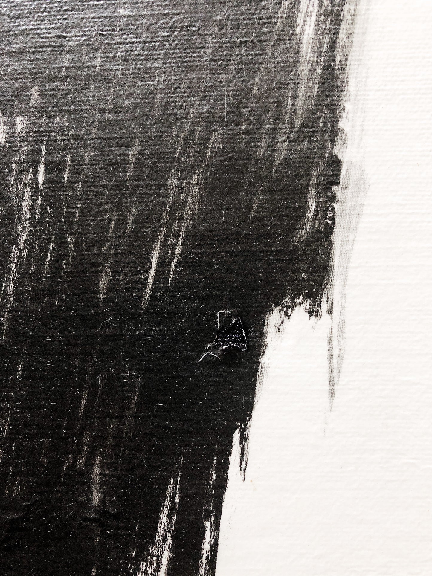 Vintage Alto Luongo Litho on Canvas