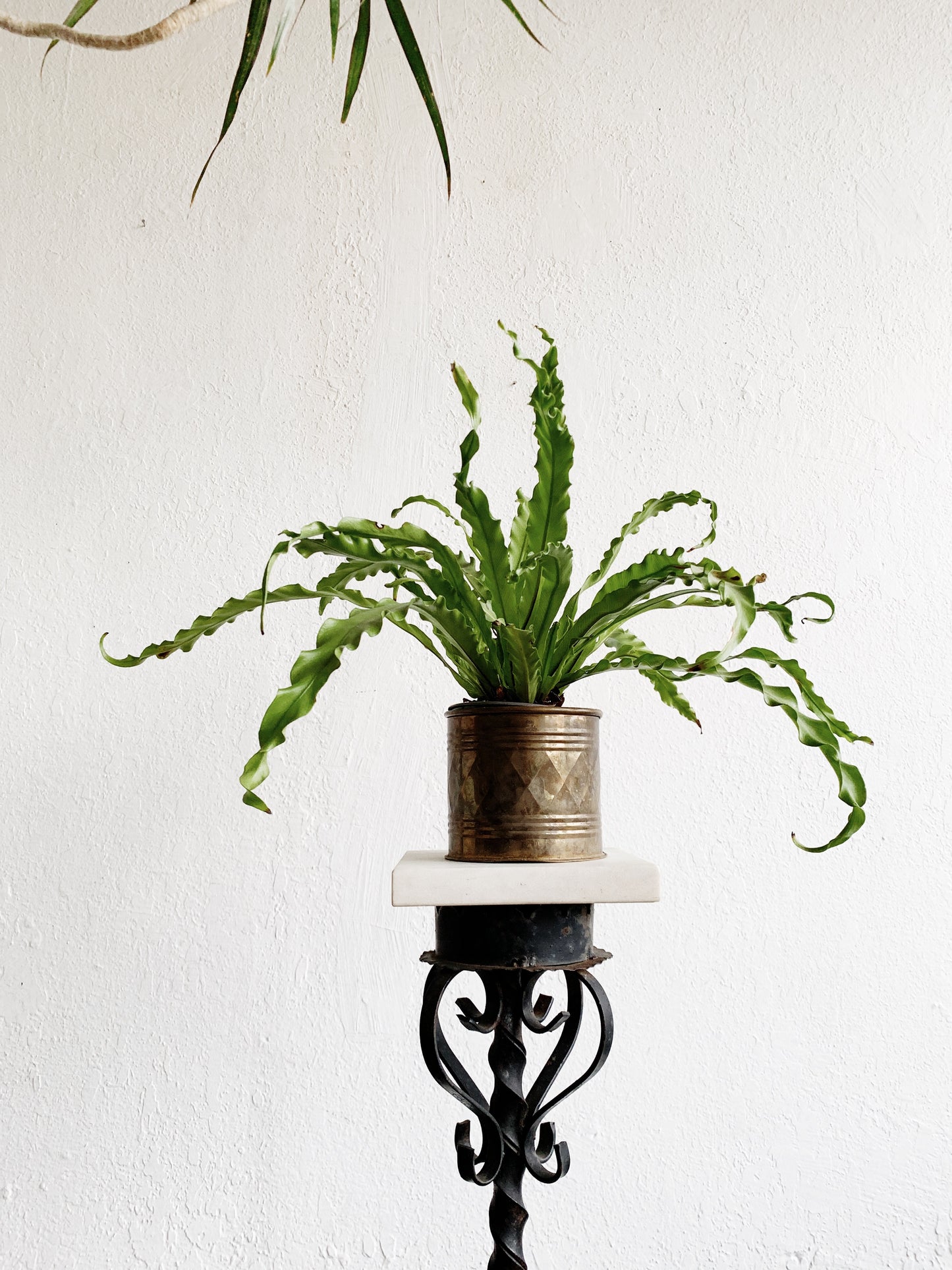 Mid Century Iron Candelabra