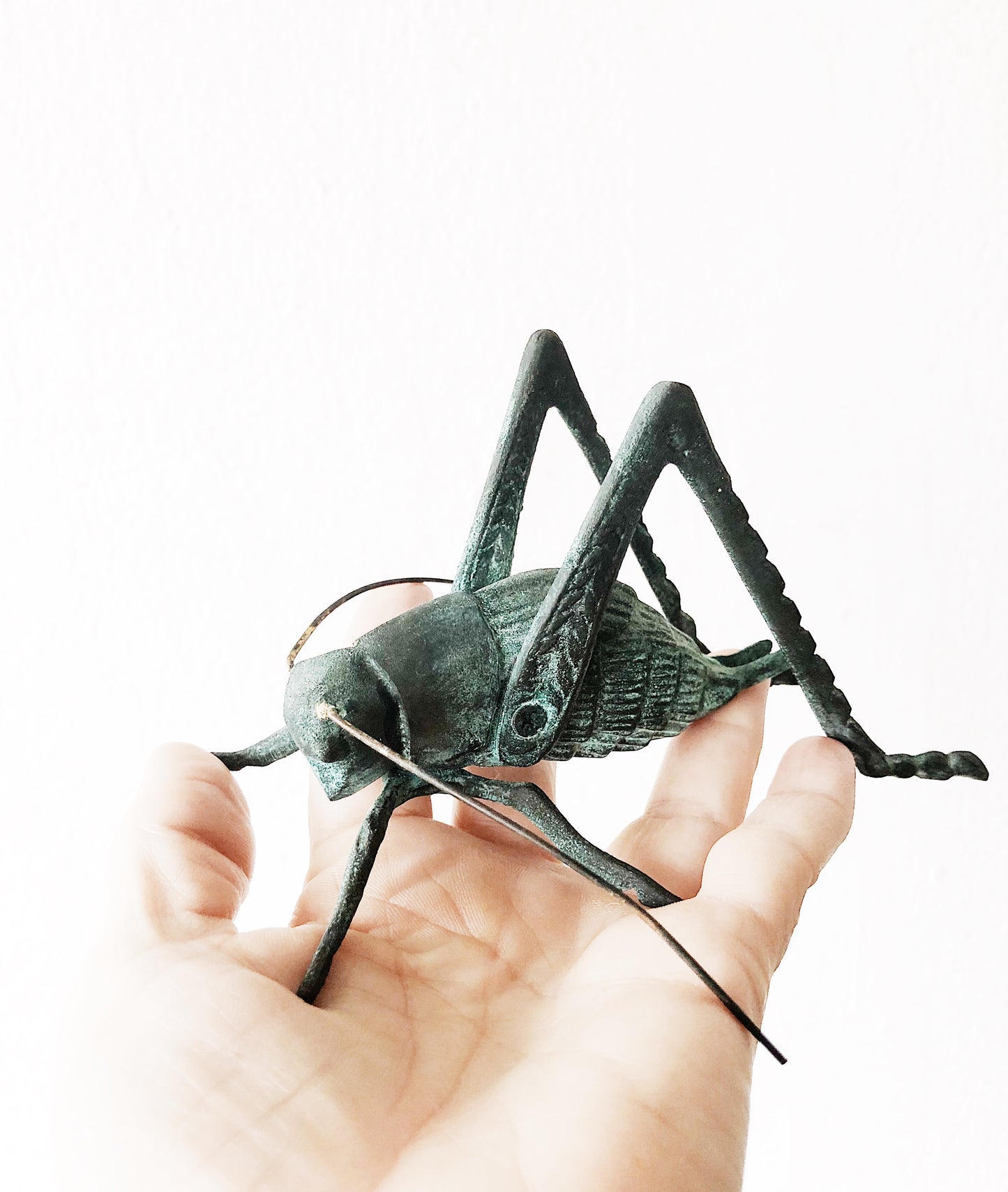 Vintage Oxidized Brass Cricket