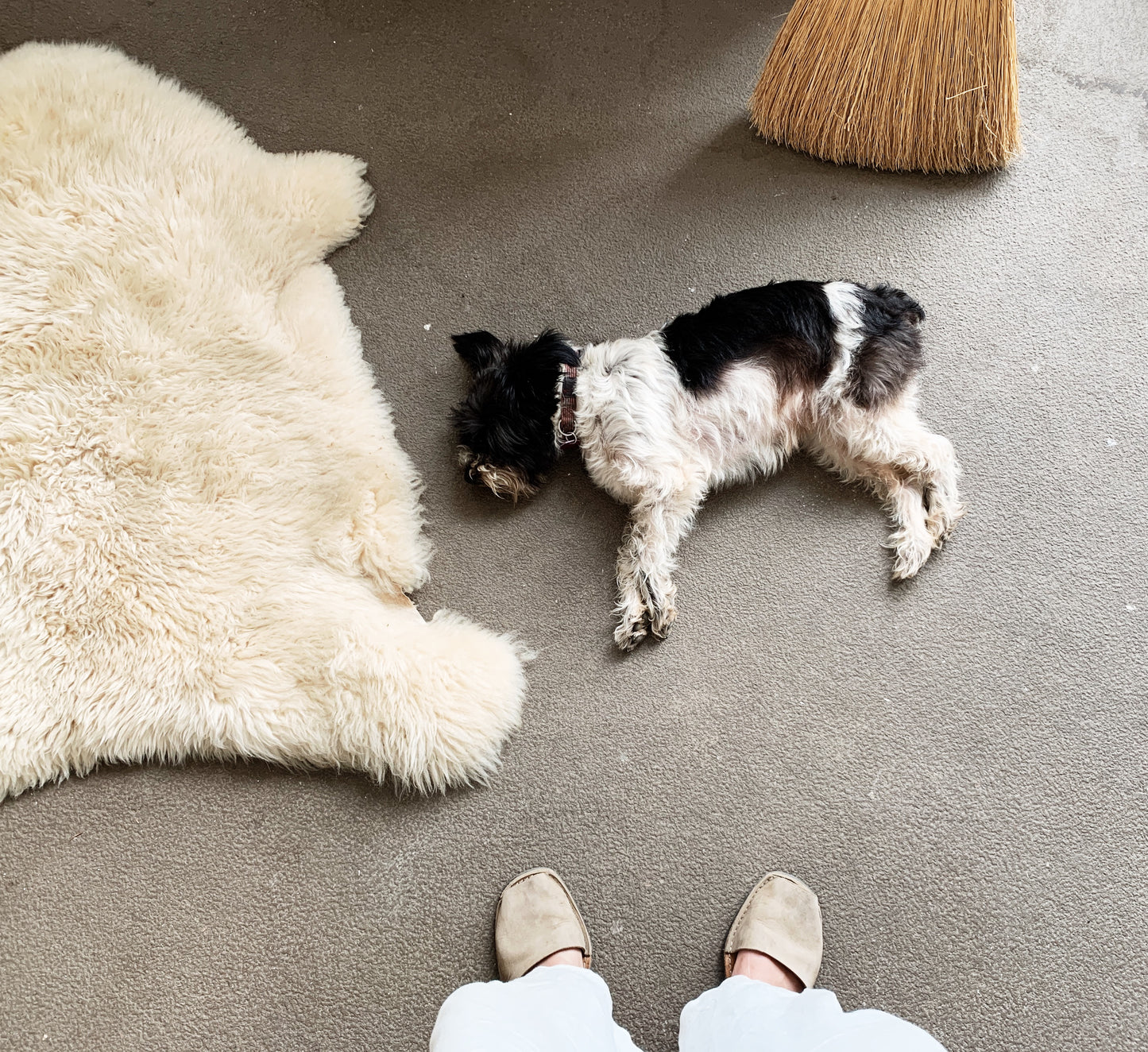 Plush Sheepskin Rug