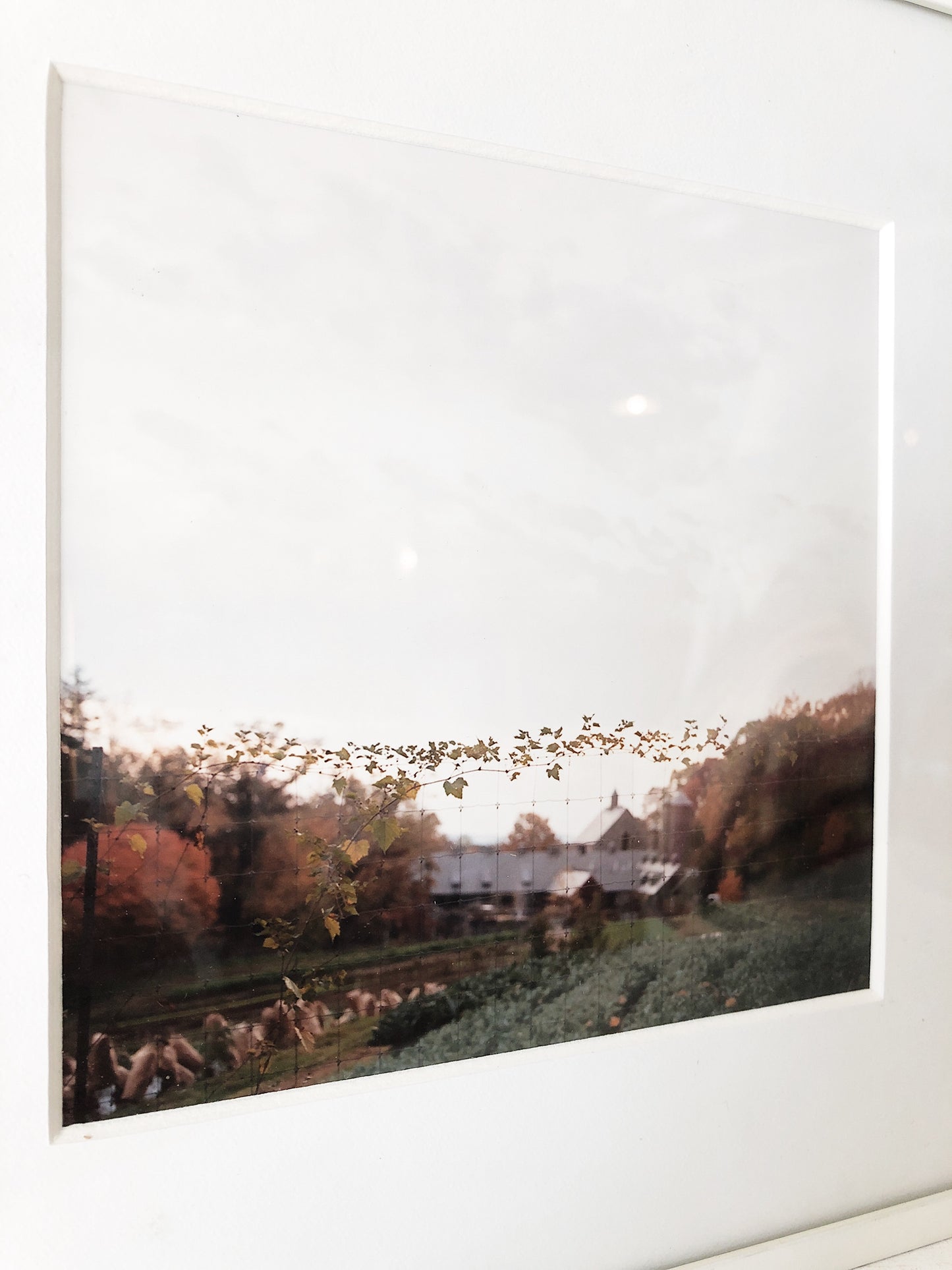 Original Framed Film Photograph