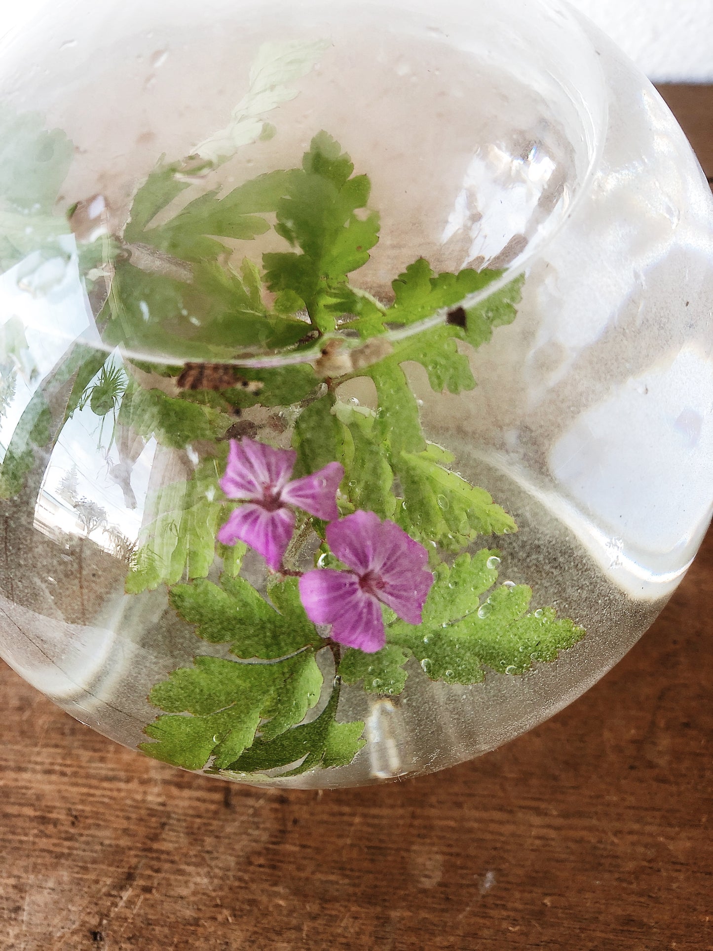 Vintage Plant Aquarium
