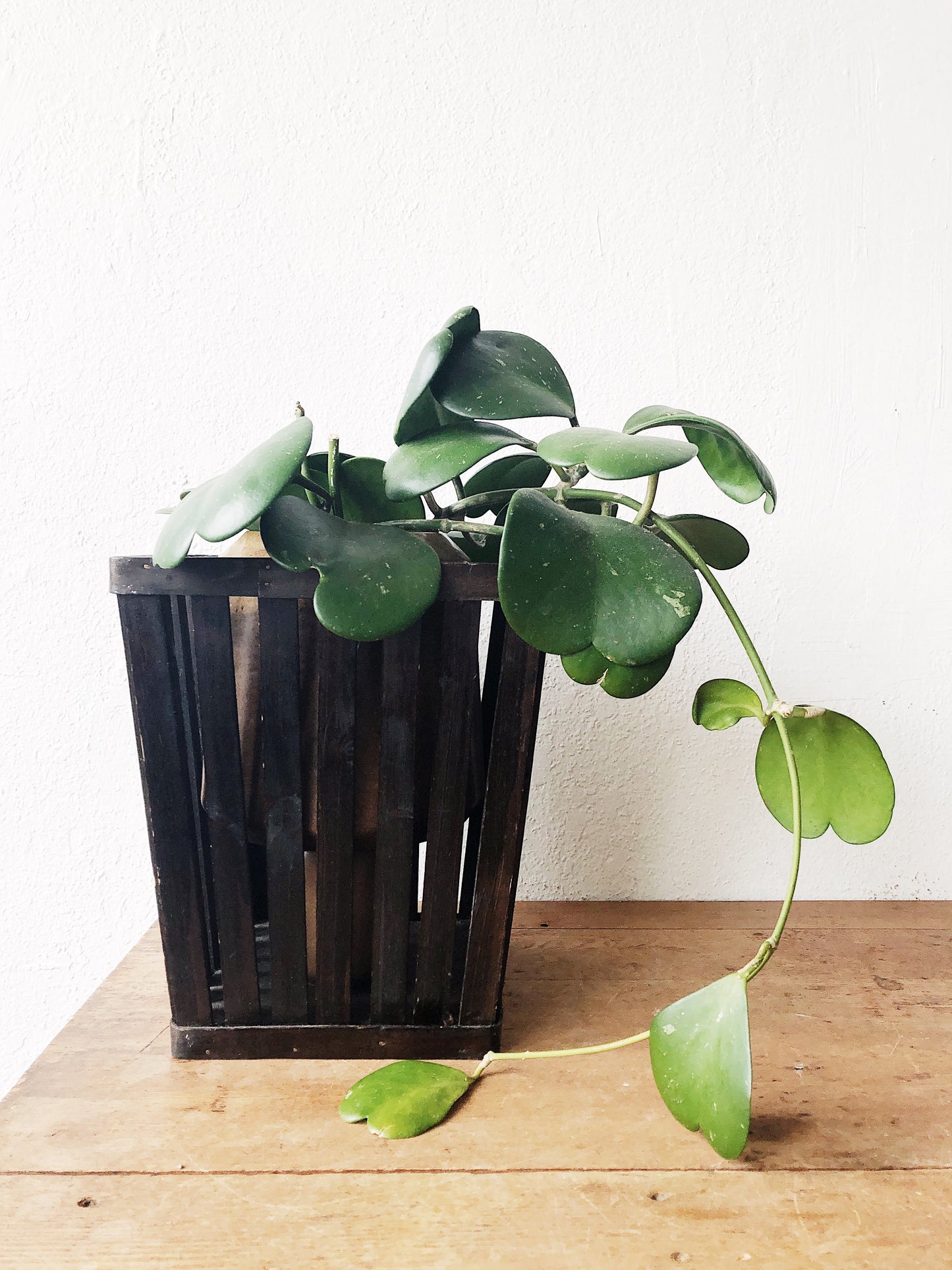 Vintage Slatted Waste Basket