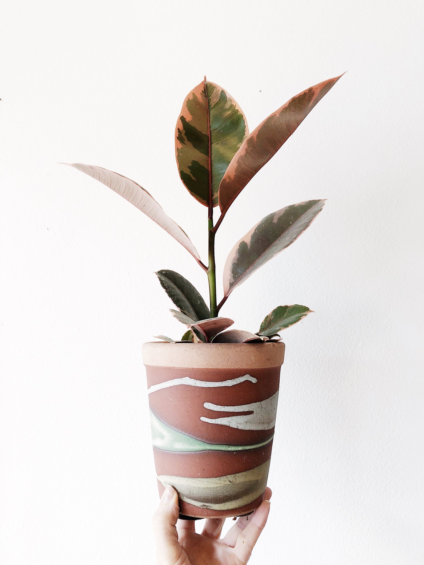 Vintage Swirl Clay Pot