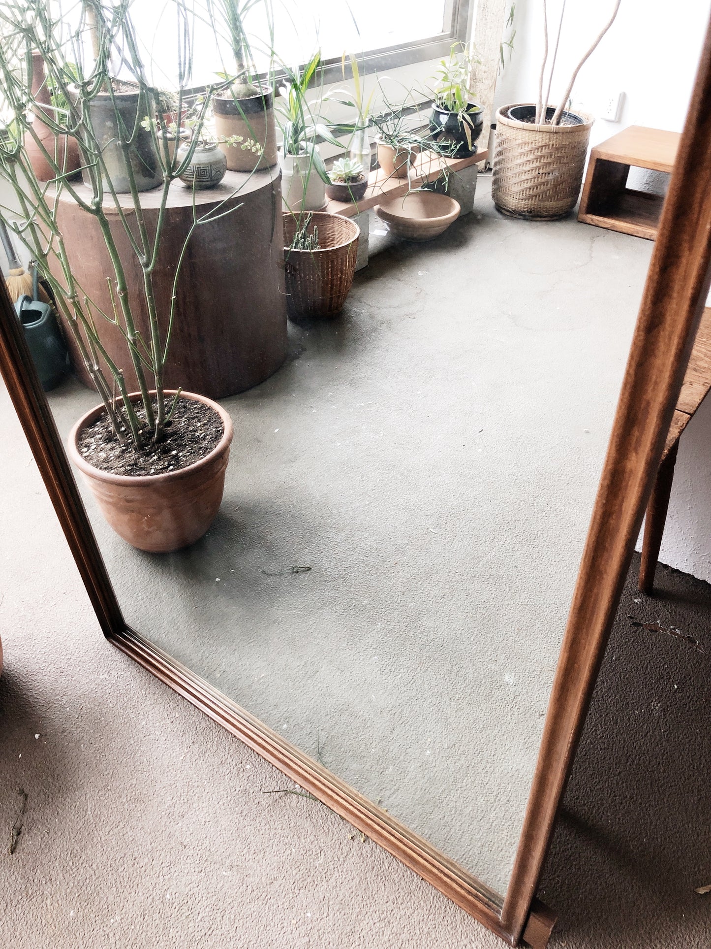 Mid Century Wall Sized Walnut Mirror