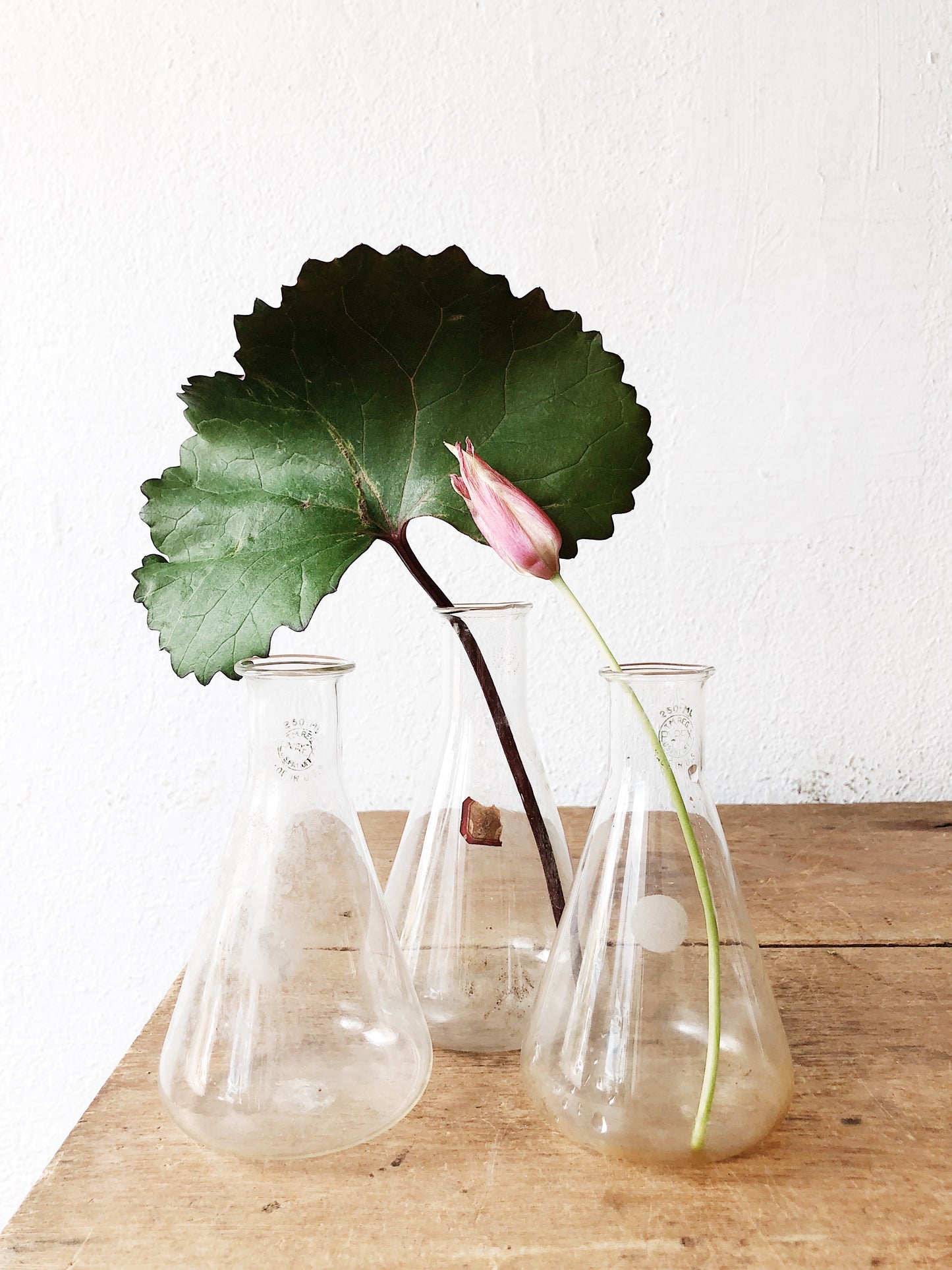 Vintage Laboratory Flask Trio