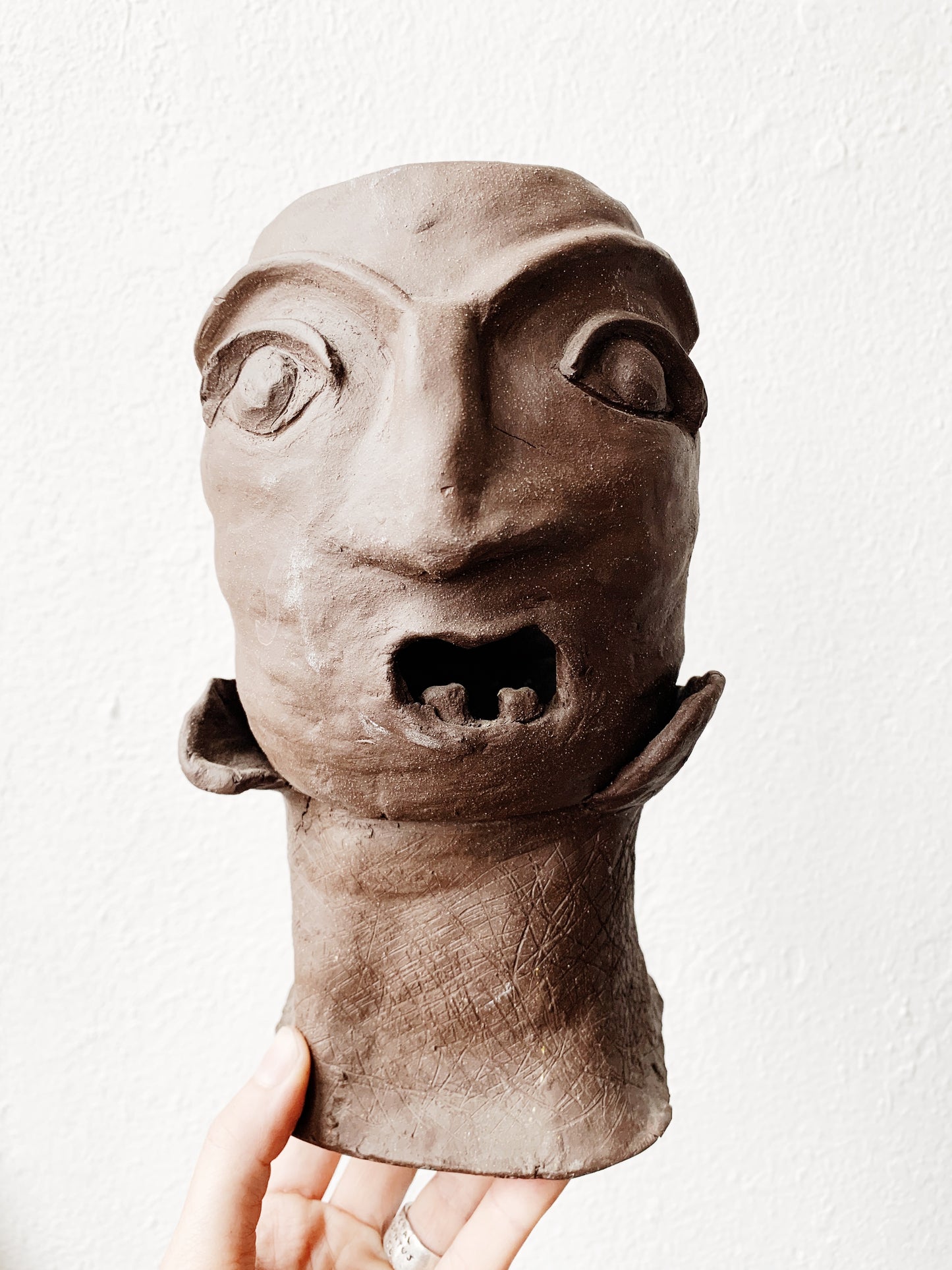 Handmade Clay Sculpture Planter