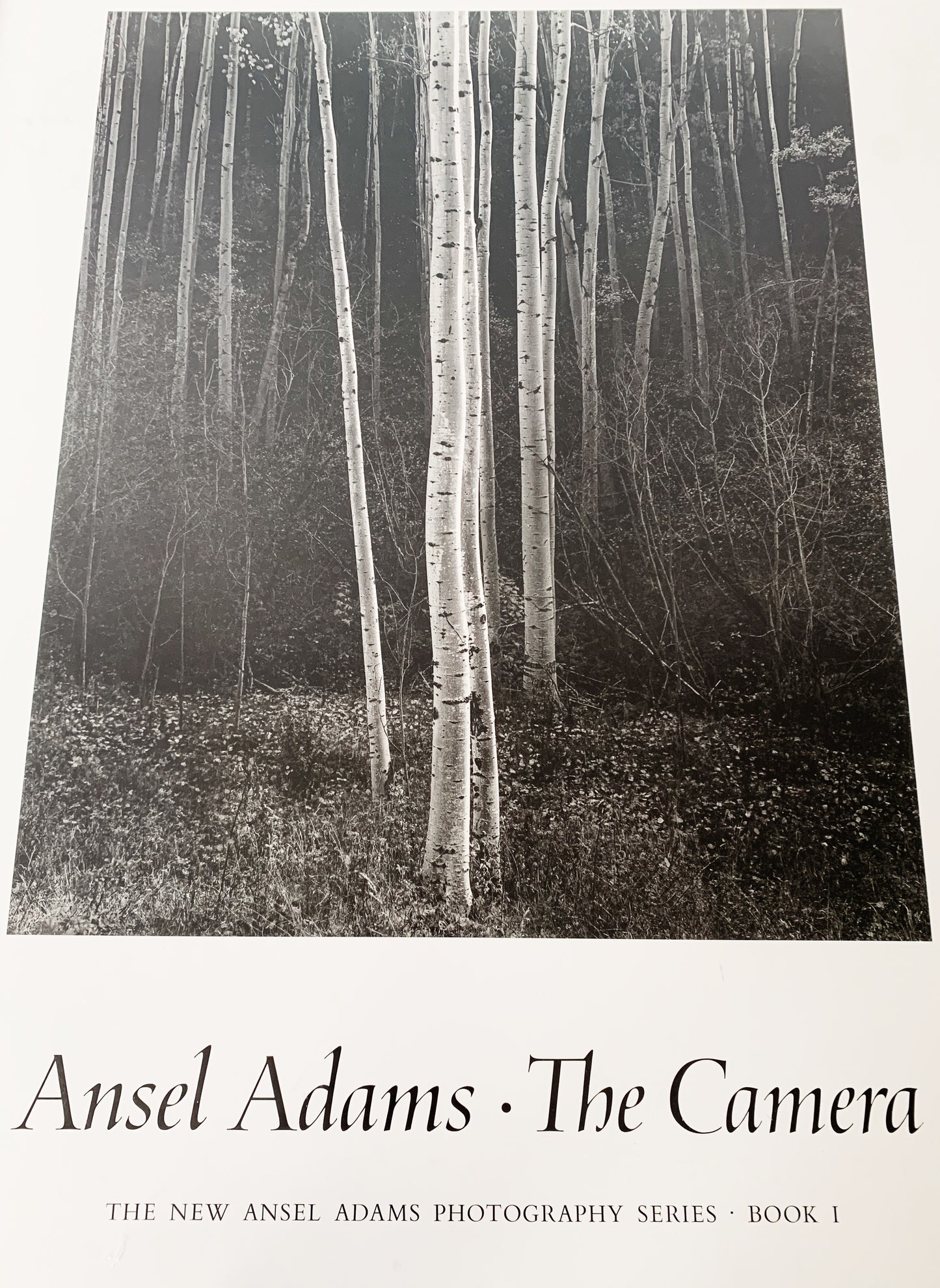 Large Vintage 1981 Ansel Adams Book Poster