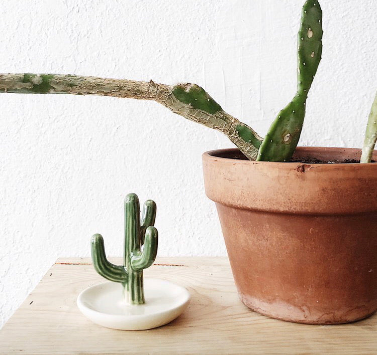 Cactus Ring Holder – Maven Collective
