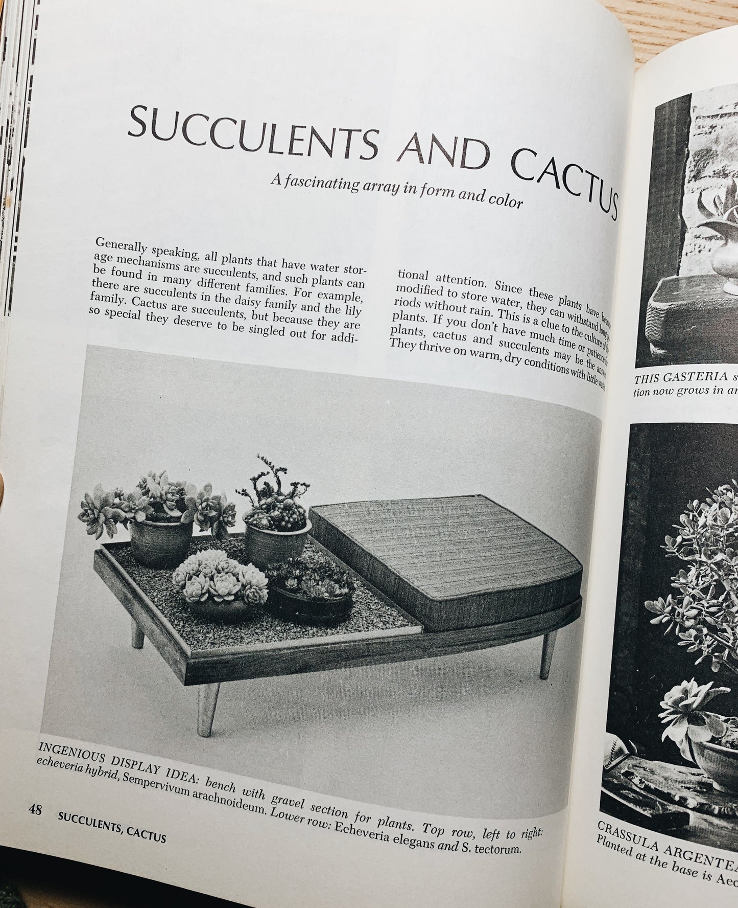 Vintage How to Grow House Plants Sunset Book