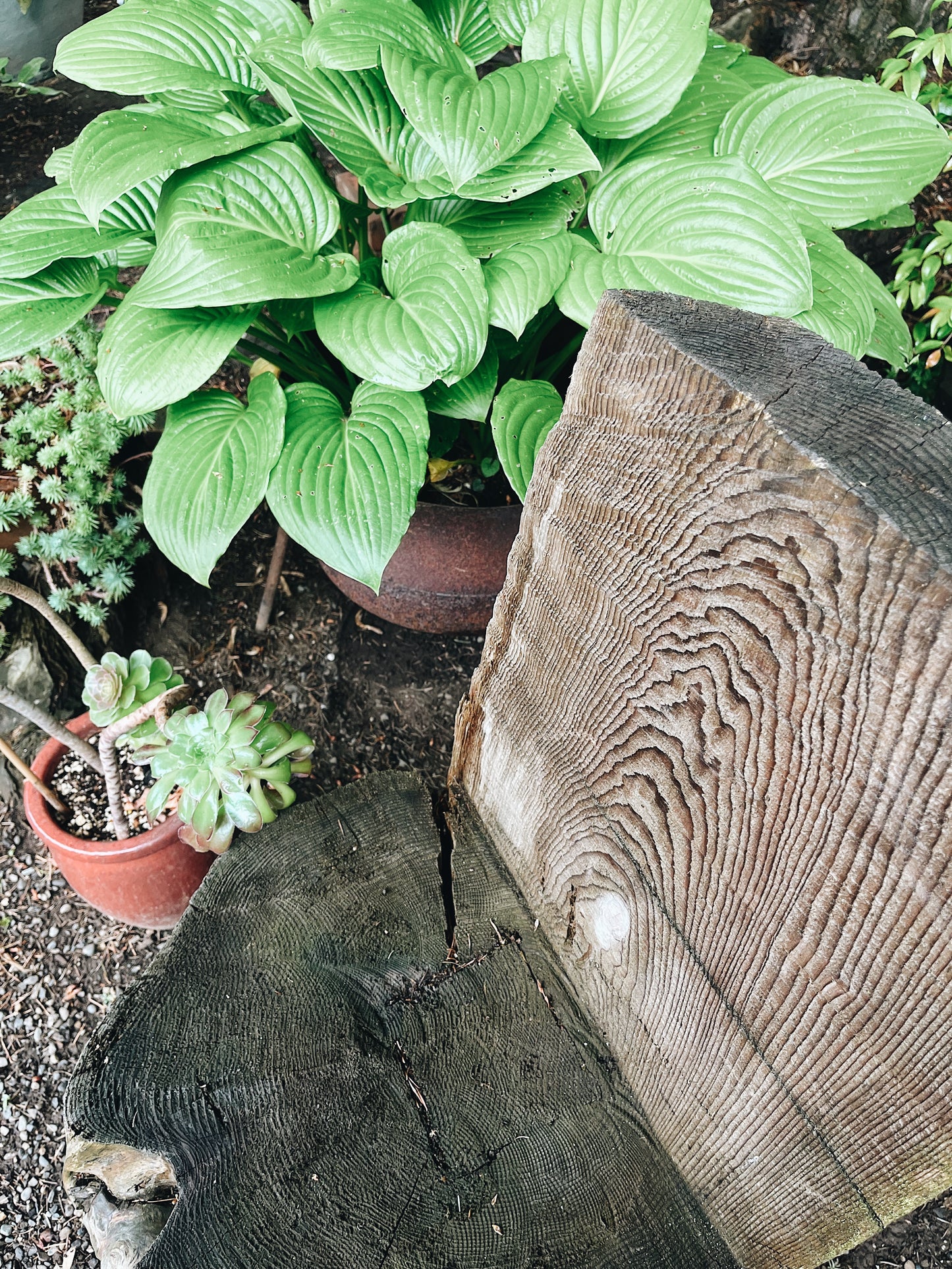 Handmade Stump Chair
