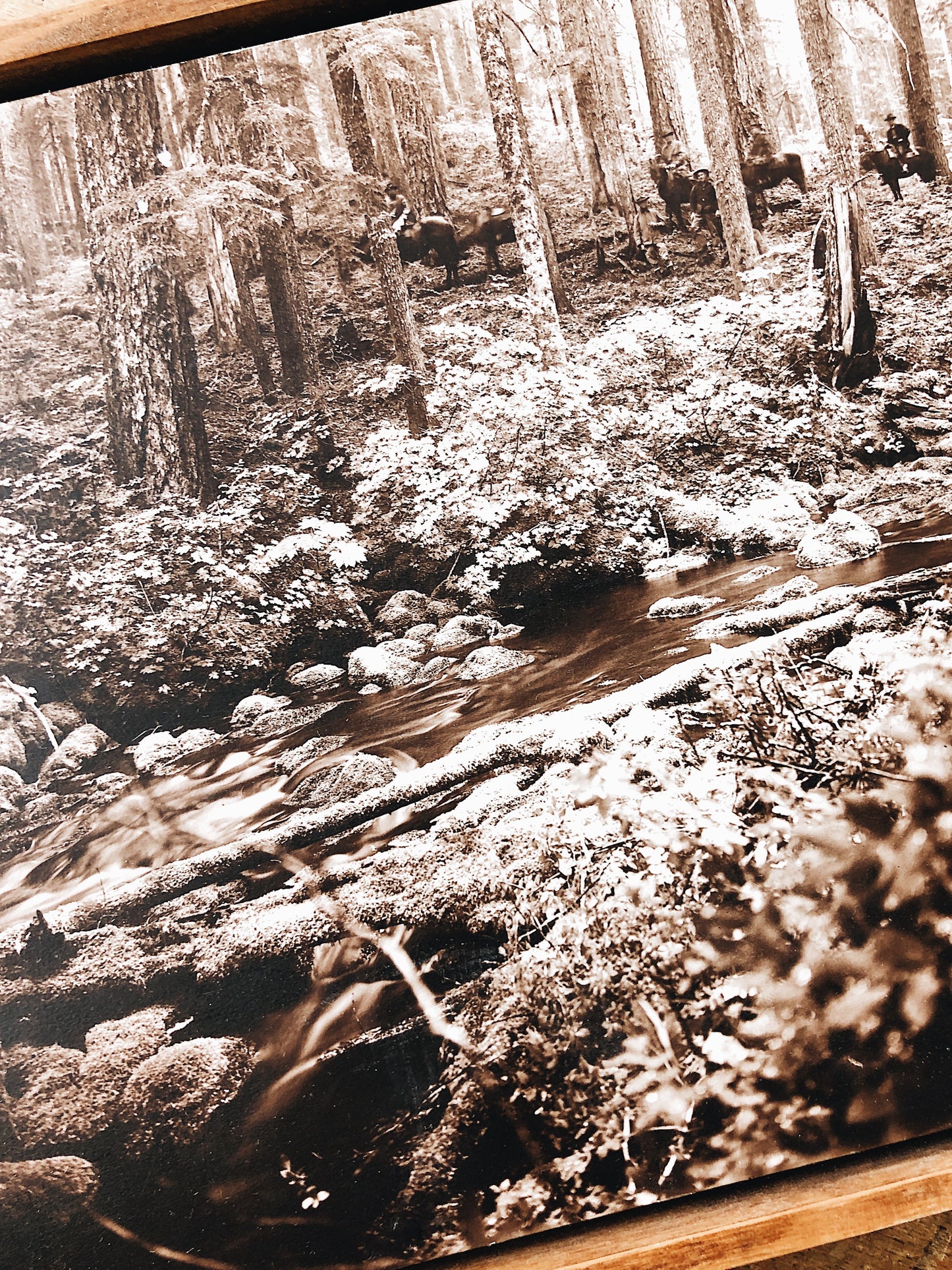 Framed Antique Film Photo