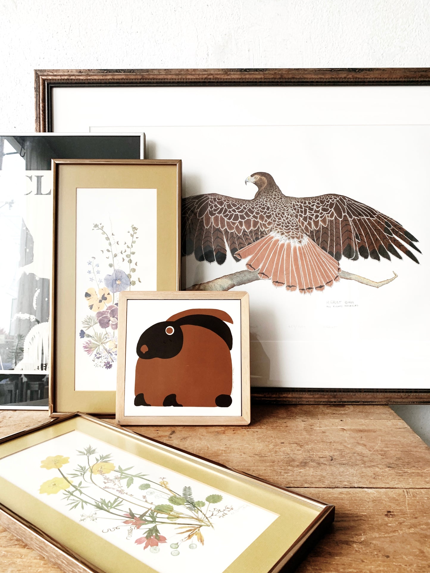 Vintage Framed Floral Print Pair