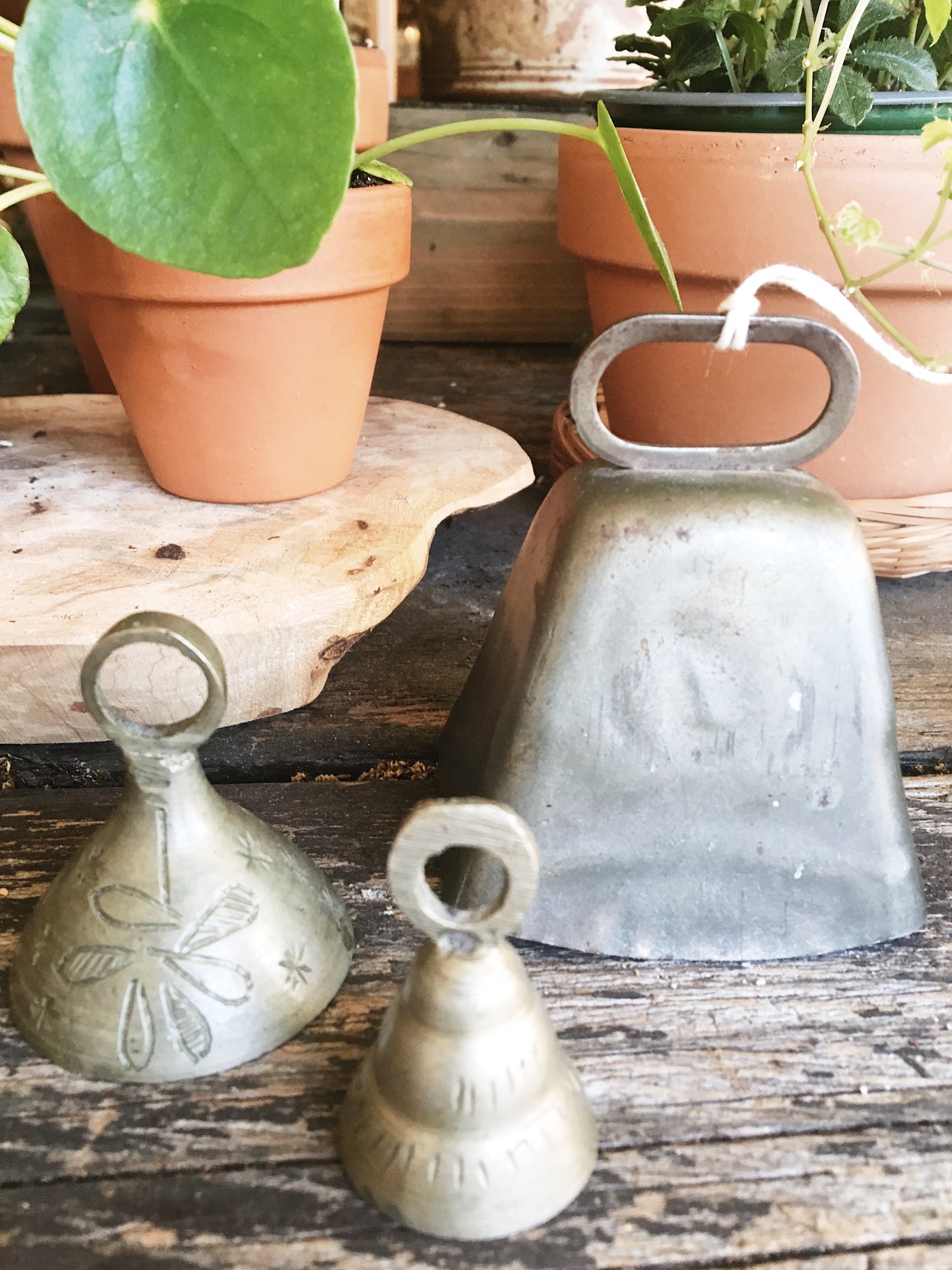 Collection of Vintage Brass Bells