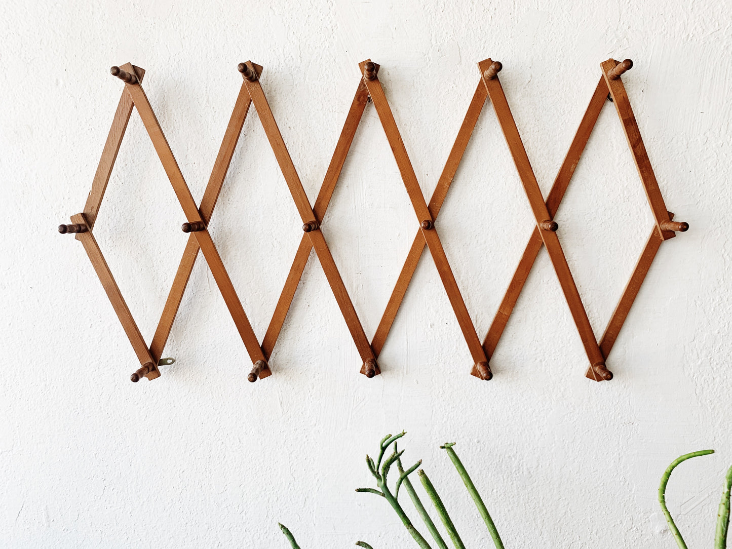 Large Vintage Expanding Peg Rack