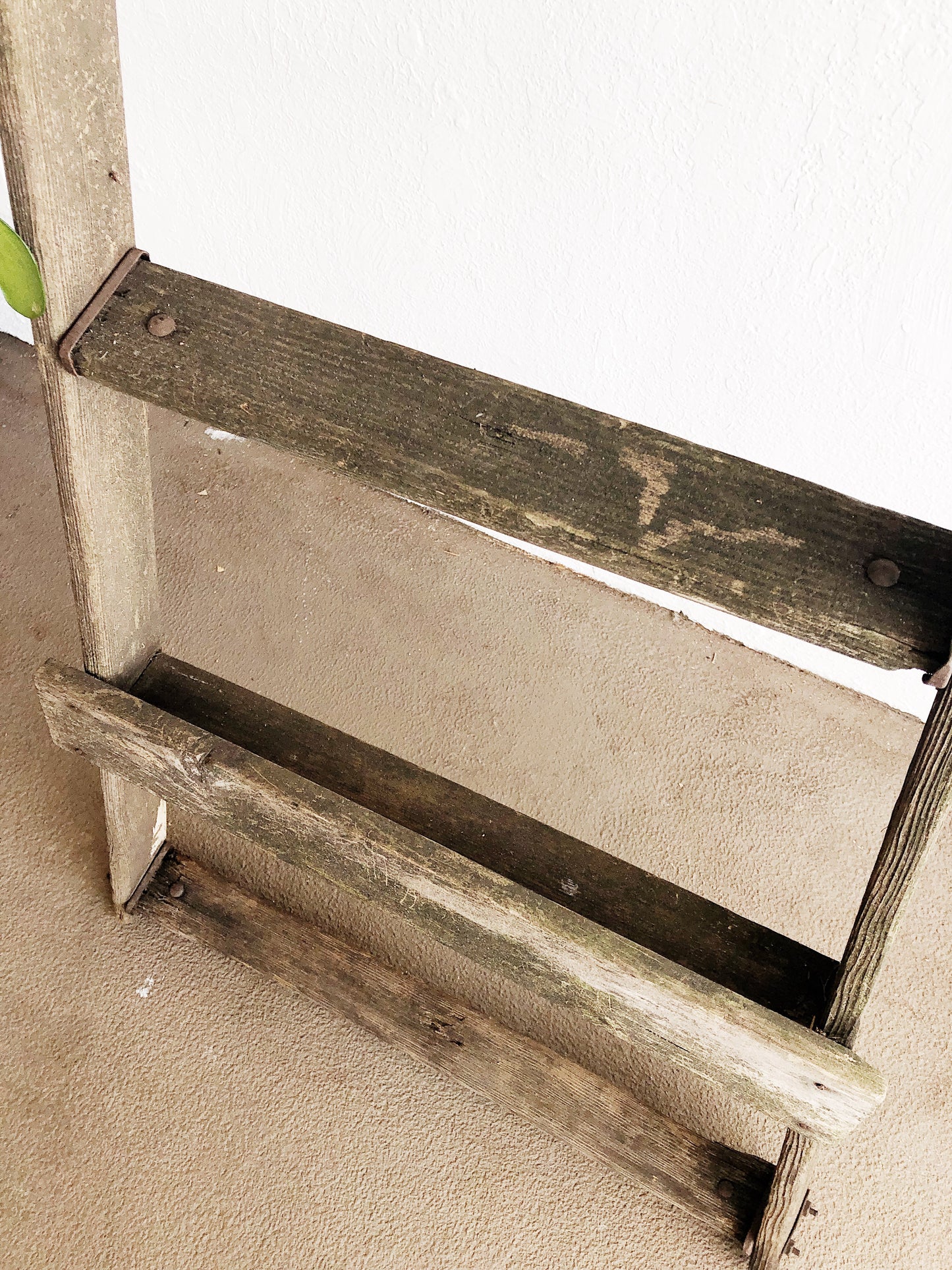 Vintage Industrial Orchard Ladder