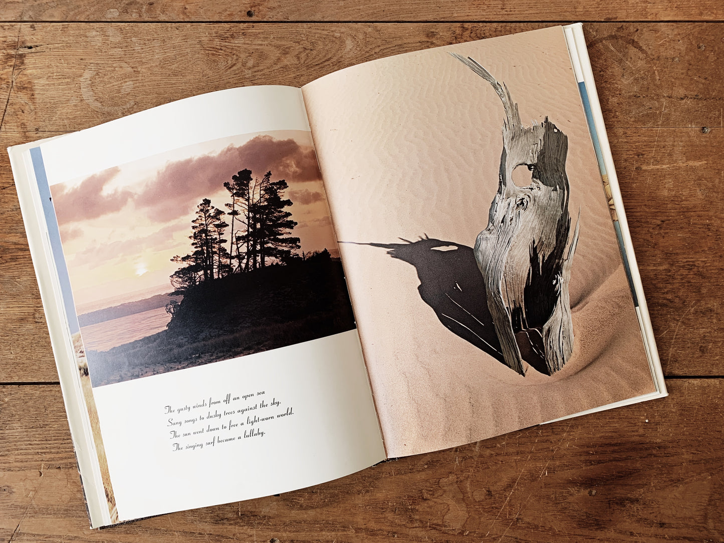 The Living Dunes Vintage Art Book