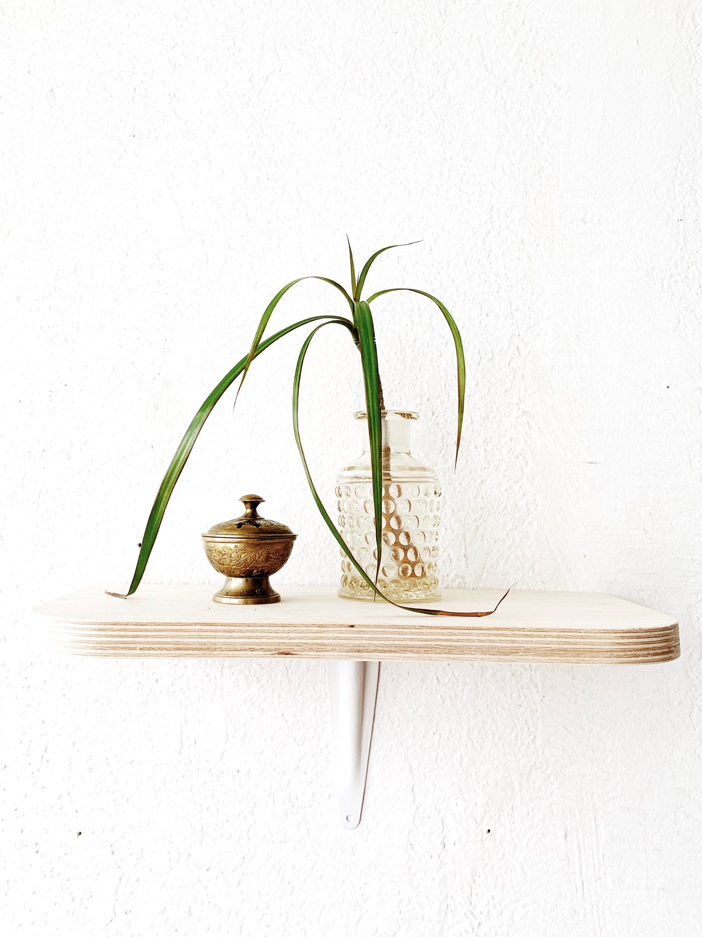 Baltic Birch Ply Wall Shelf