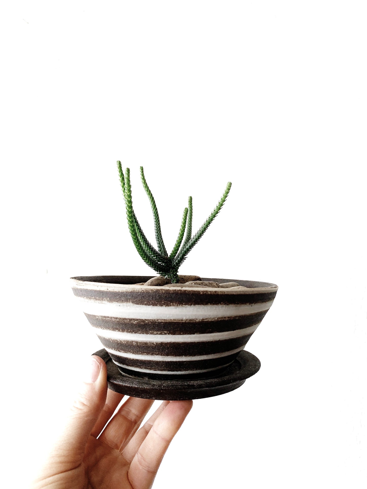 Orcas Island Pot & Tray