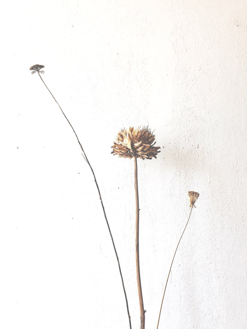 Dried Floral Ikebana Arrangement