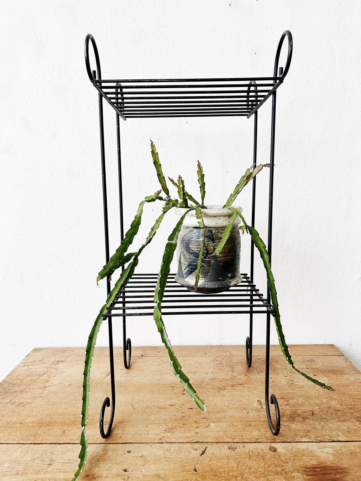 Mid Century Metal Plant Shelf