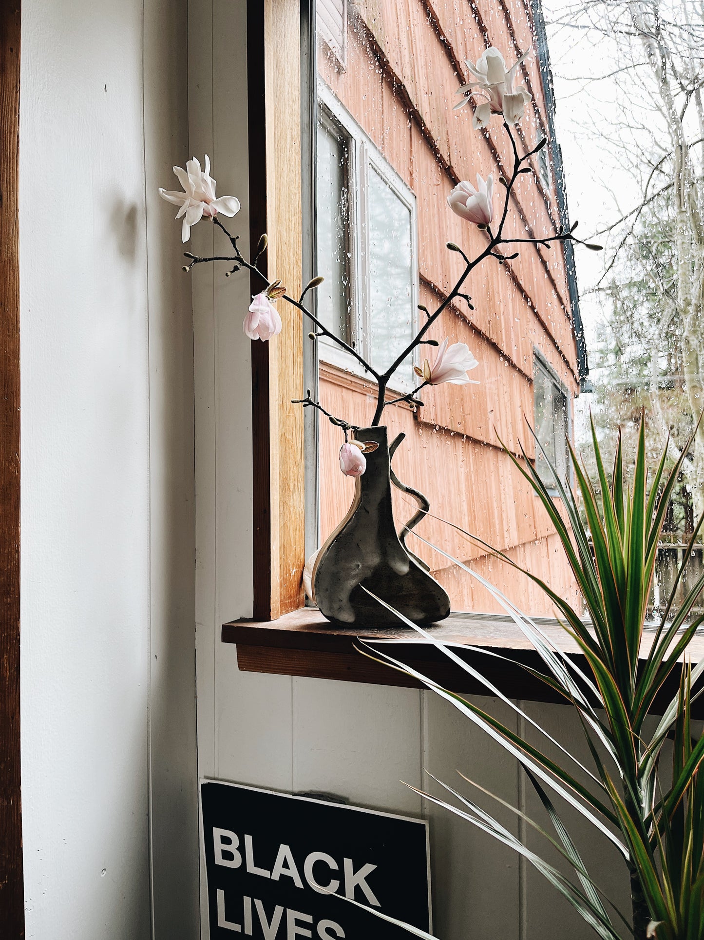 Tall Potted Dracaena Palm