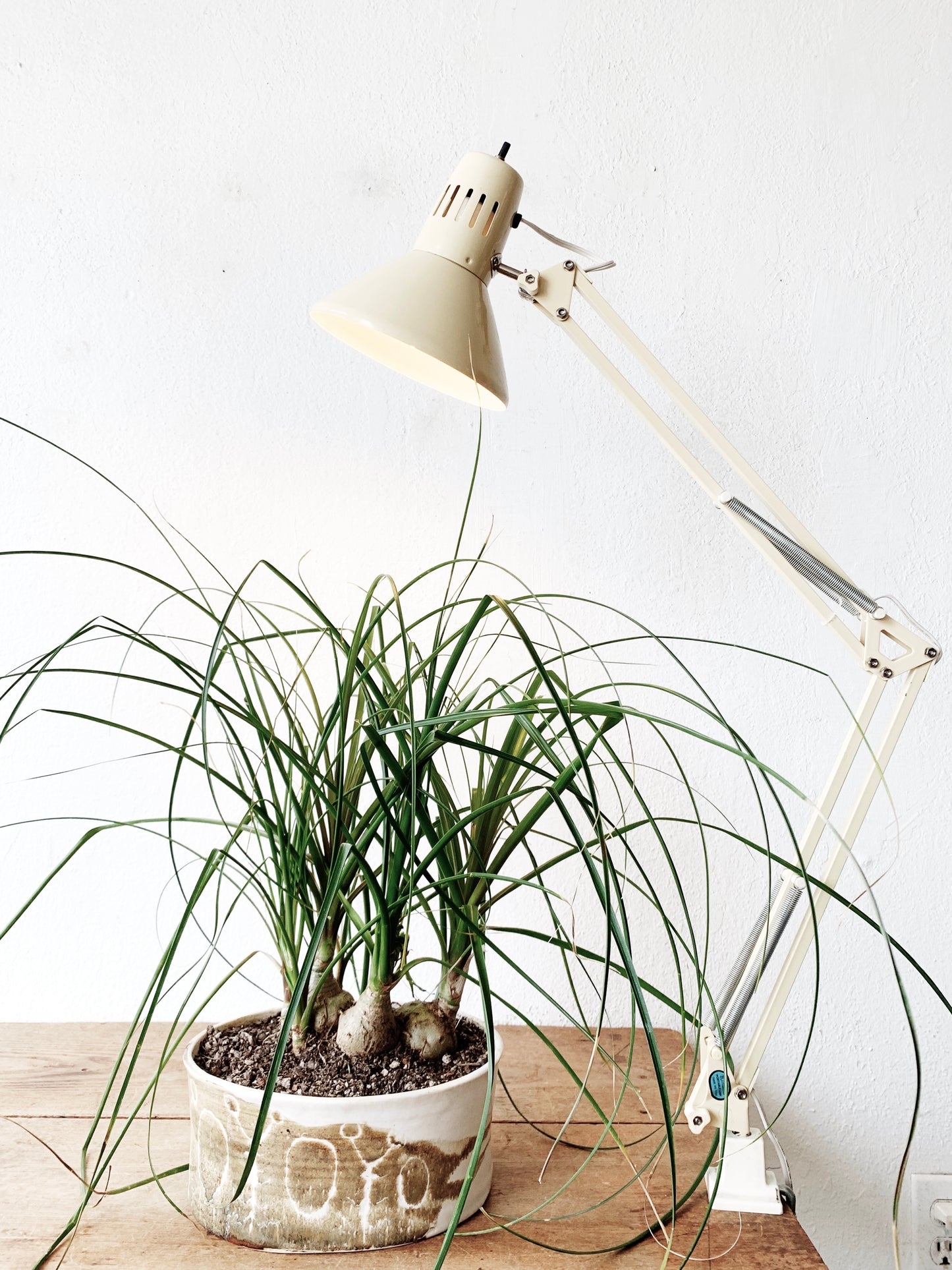 Vintage Industrial Task Light