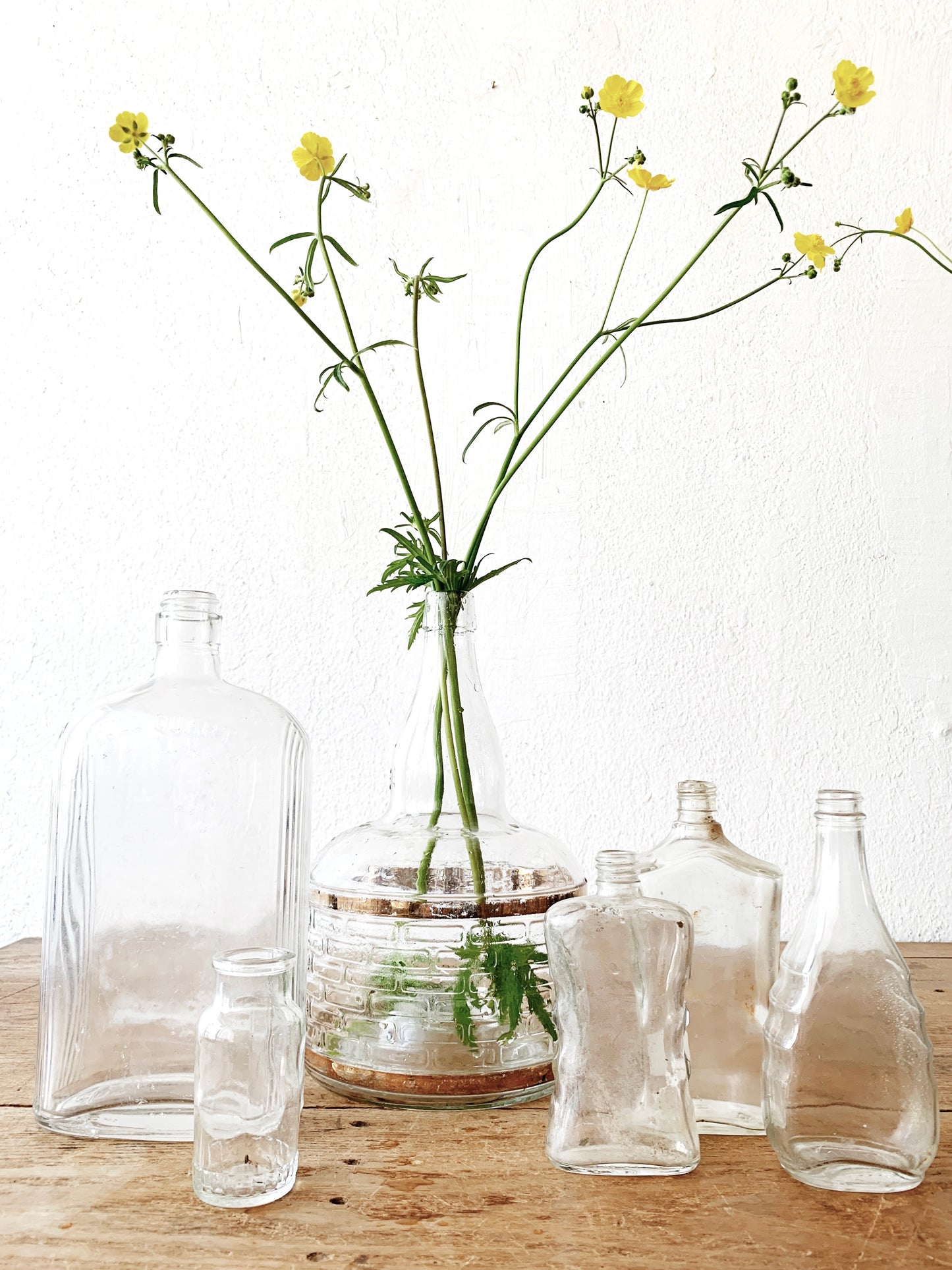 Vintage Glass Bottle Collection