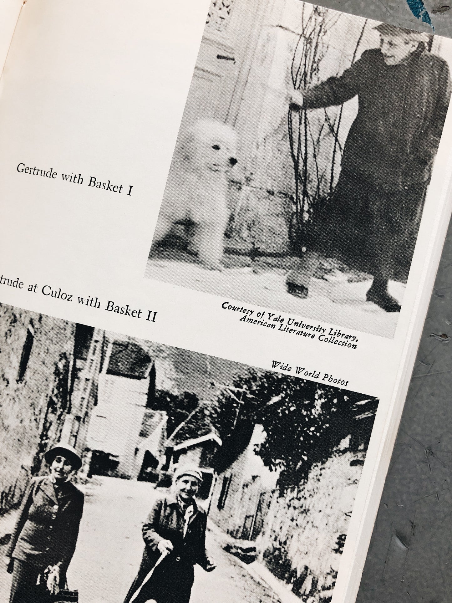 Vintage Gertrude Stein Biography