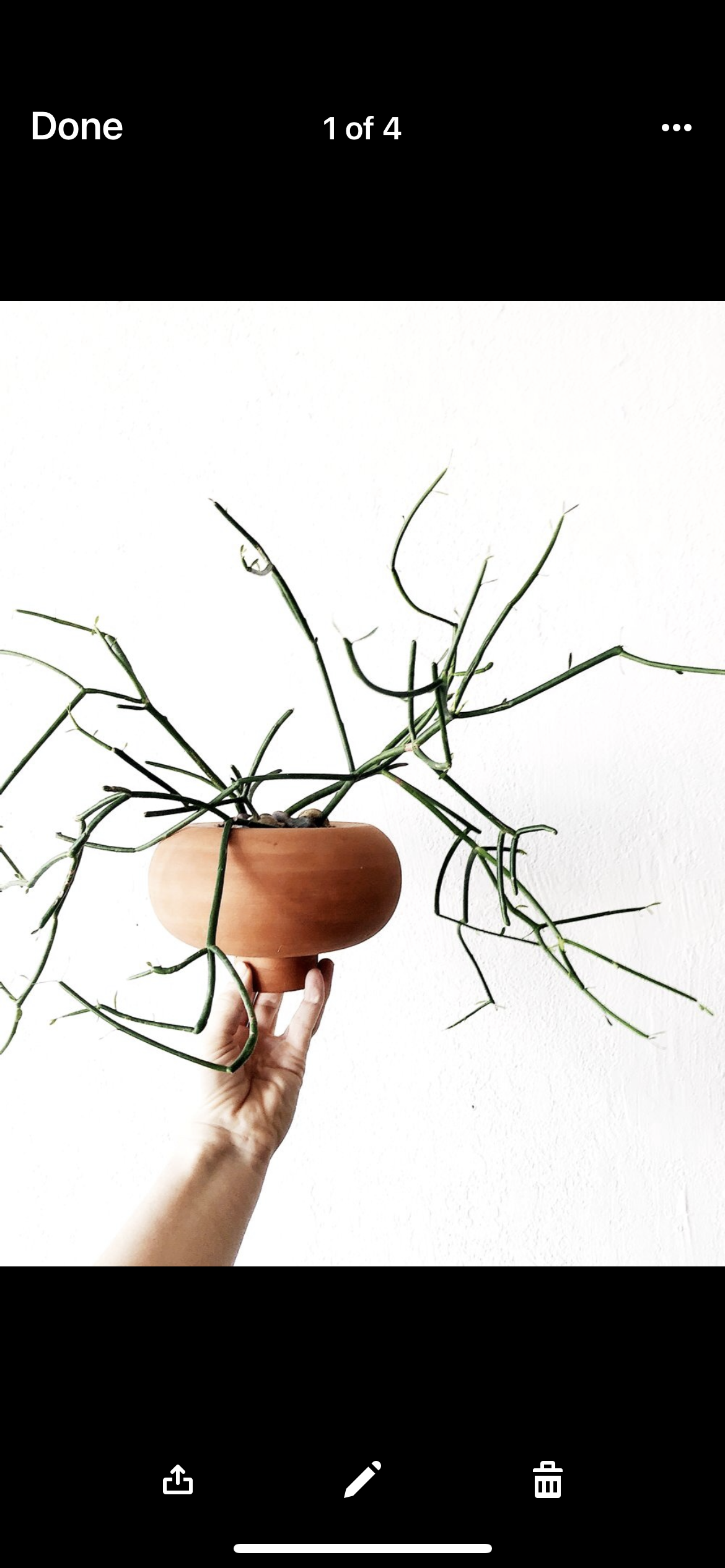 Japanese Style Ikebana Pot