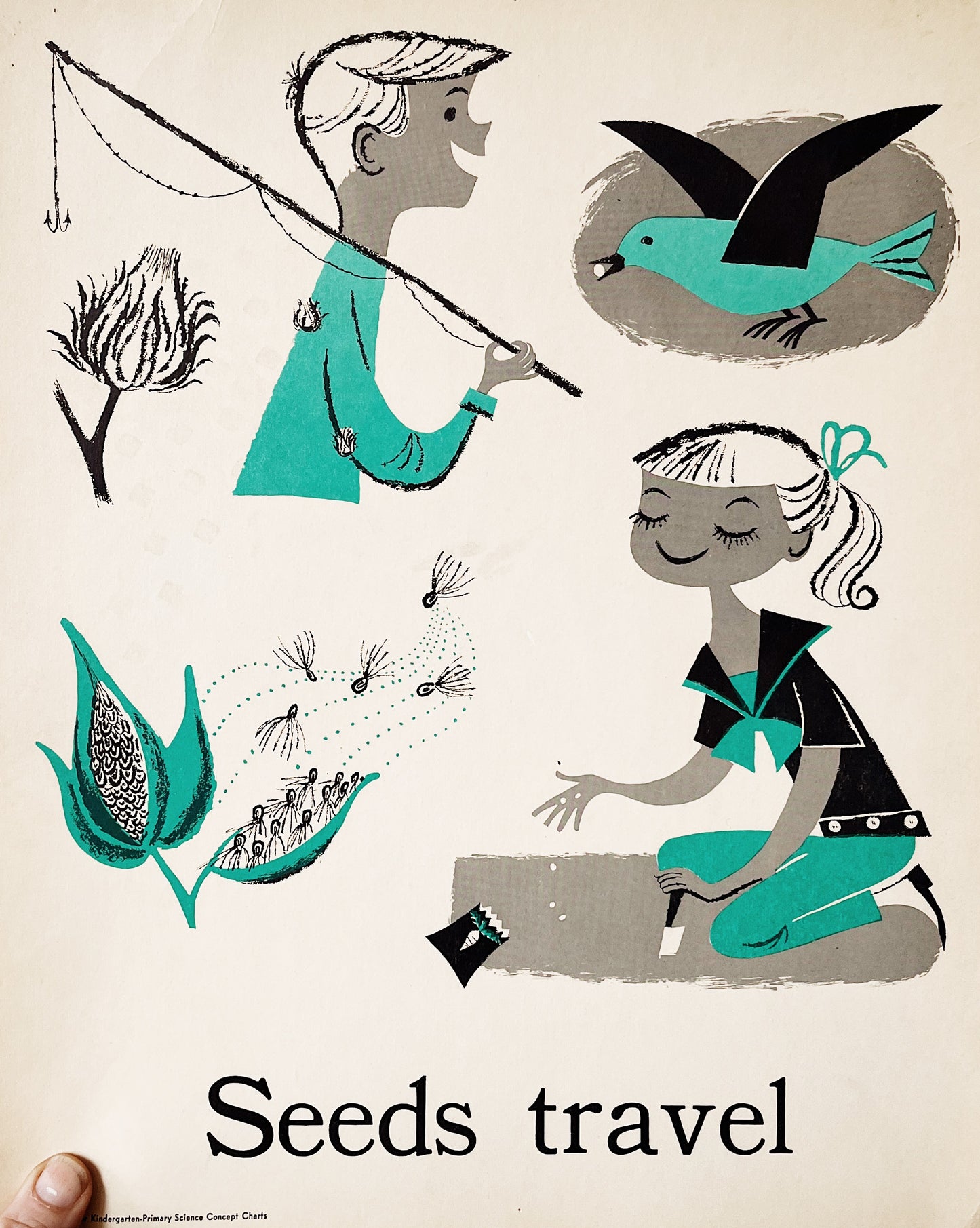 Mid Century Science Poster