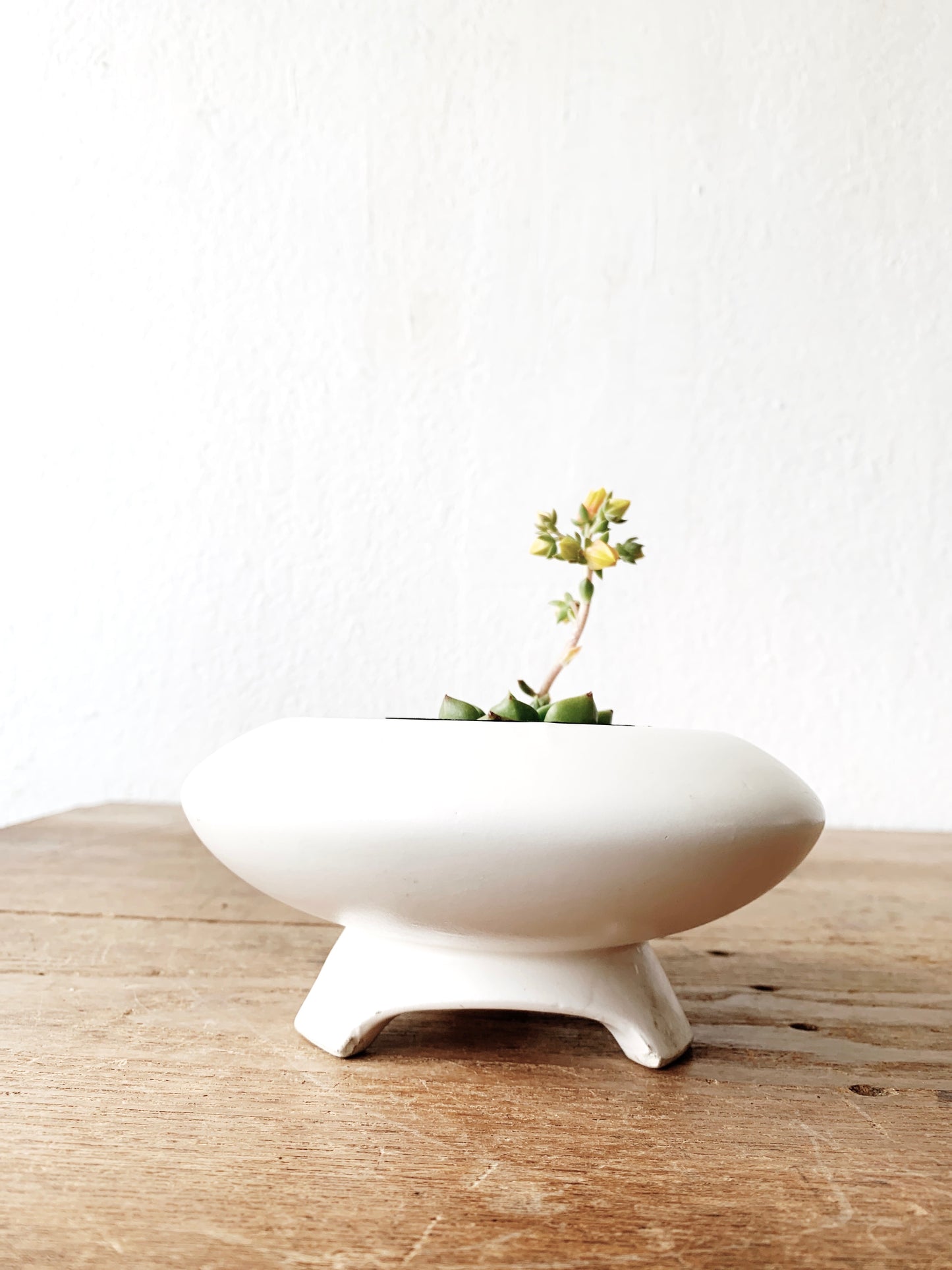 Rare Vintage Rubens Planter 1963