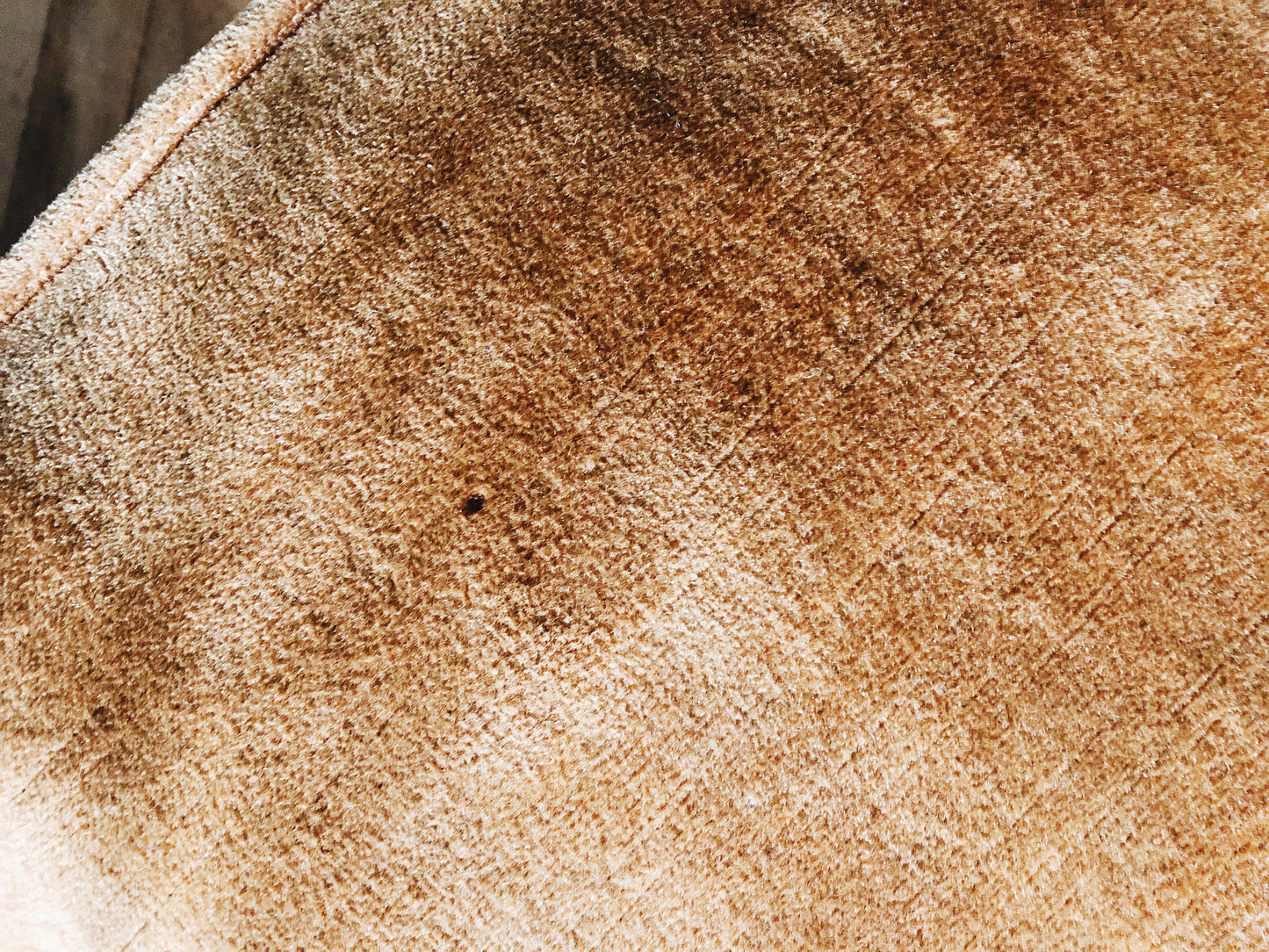 Mid Century Mustard Chair