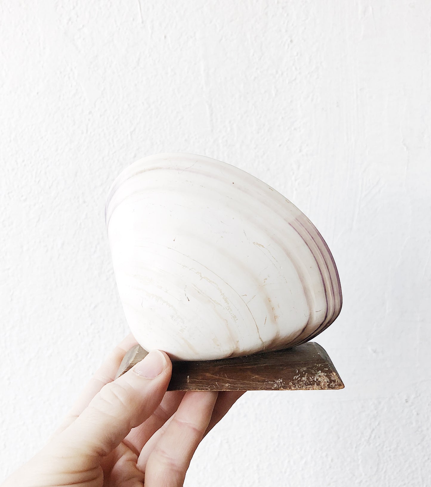 Vintage Shell Bookend