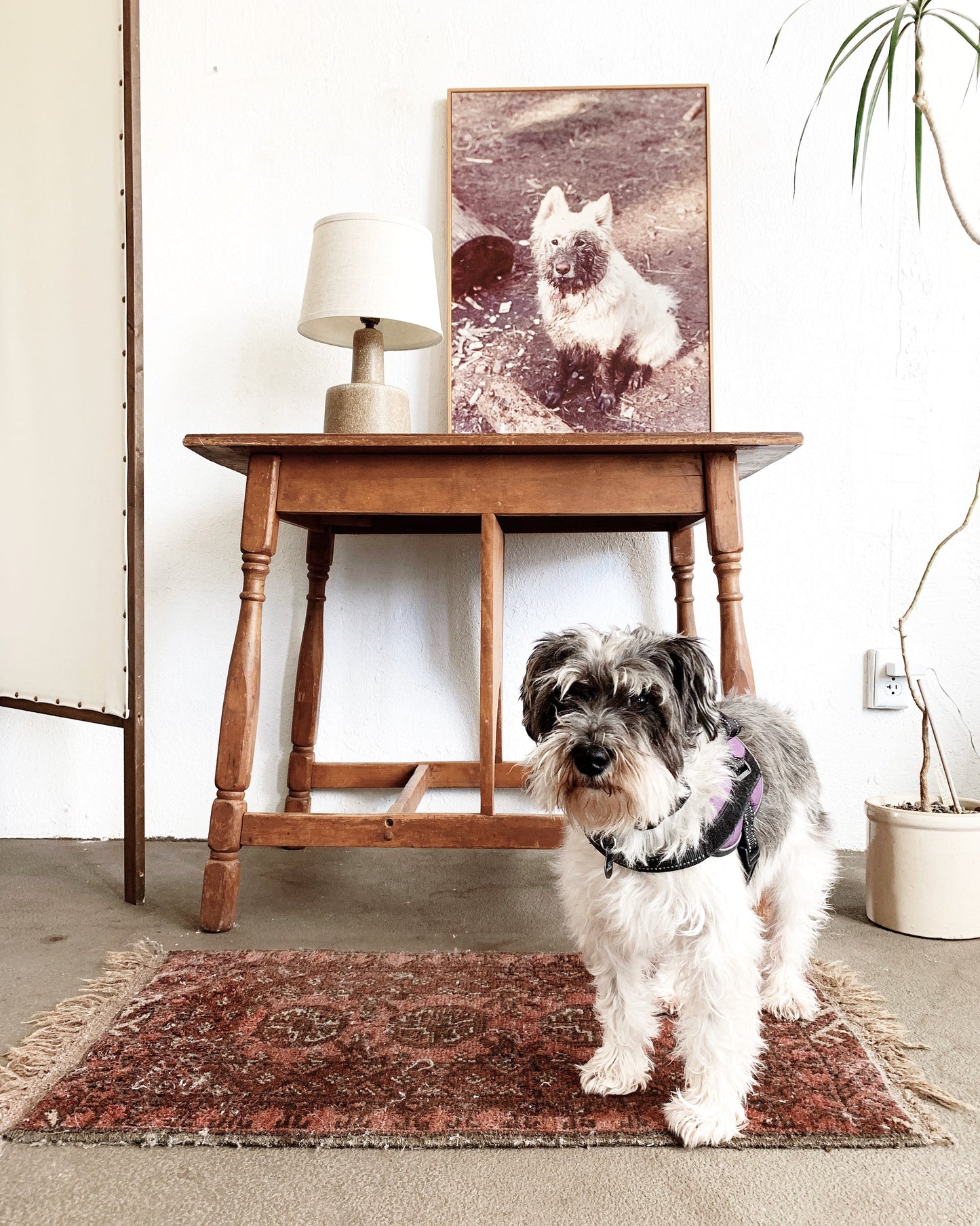 Vintage Hand Knotted Wool Rug