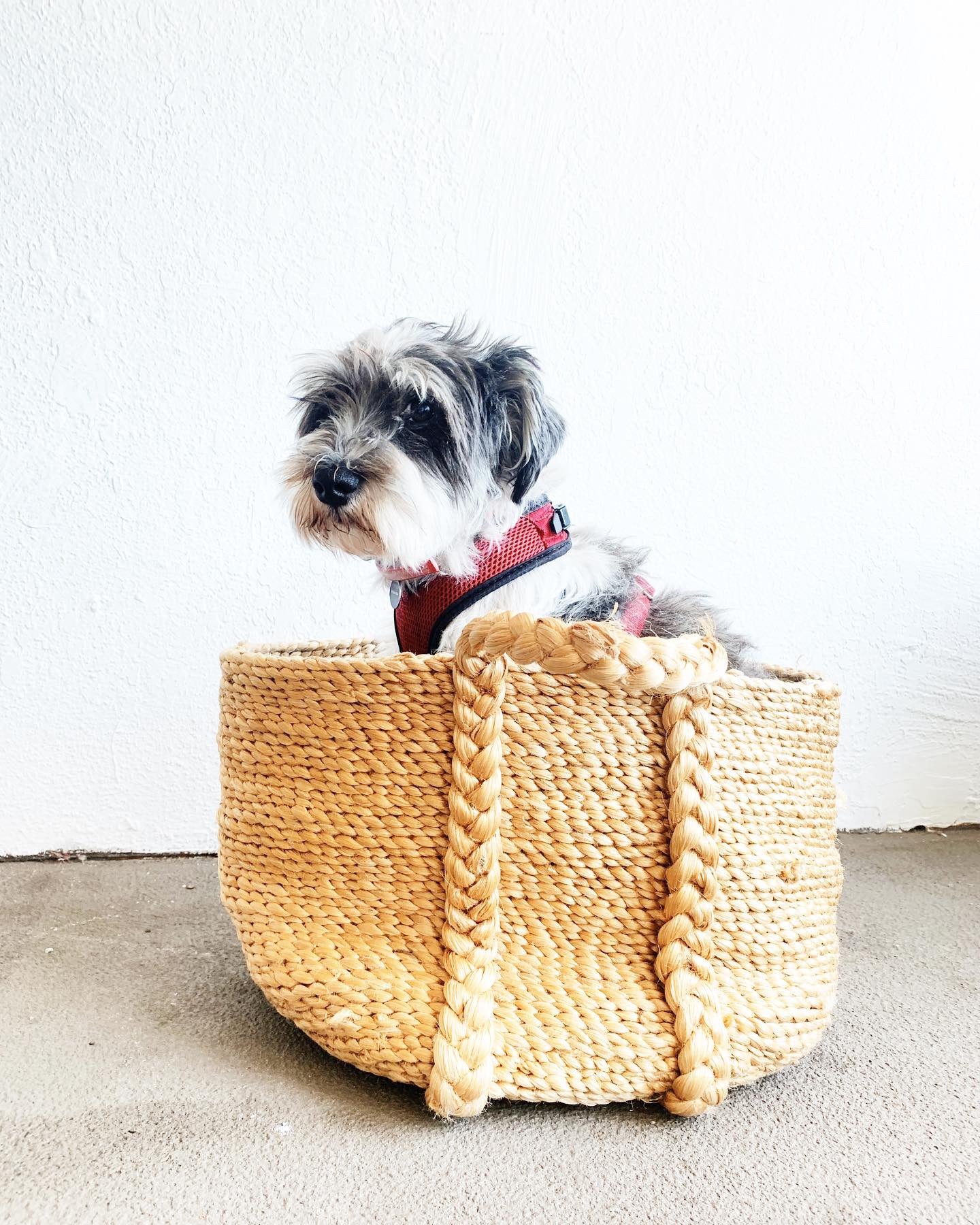 Chunky Woven Jute Tote