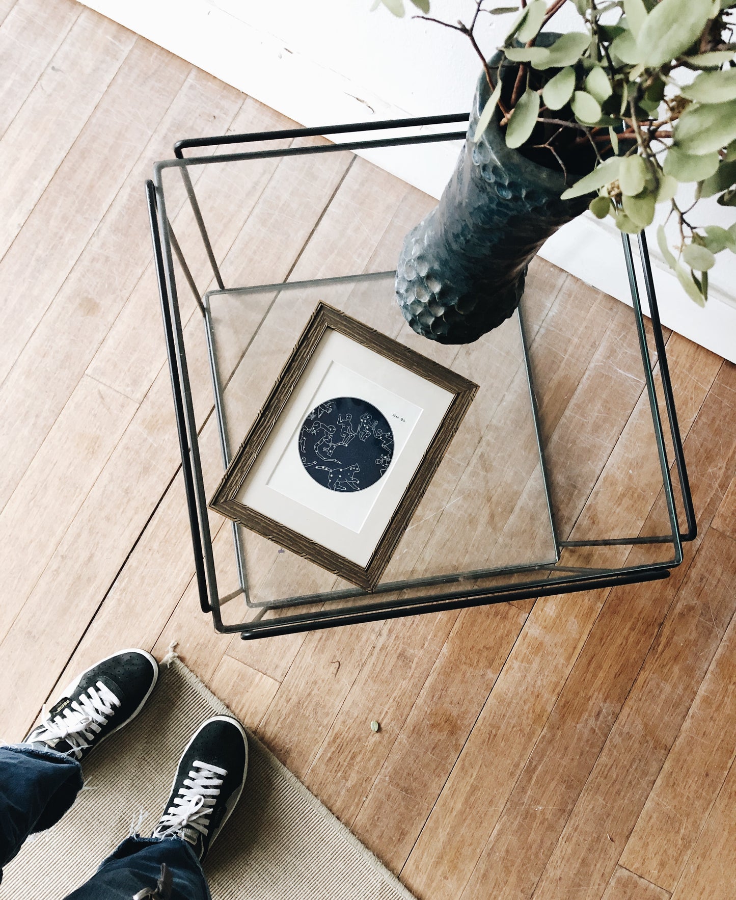 Antique Zodiac Constellations Plate