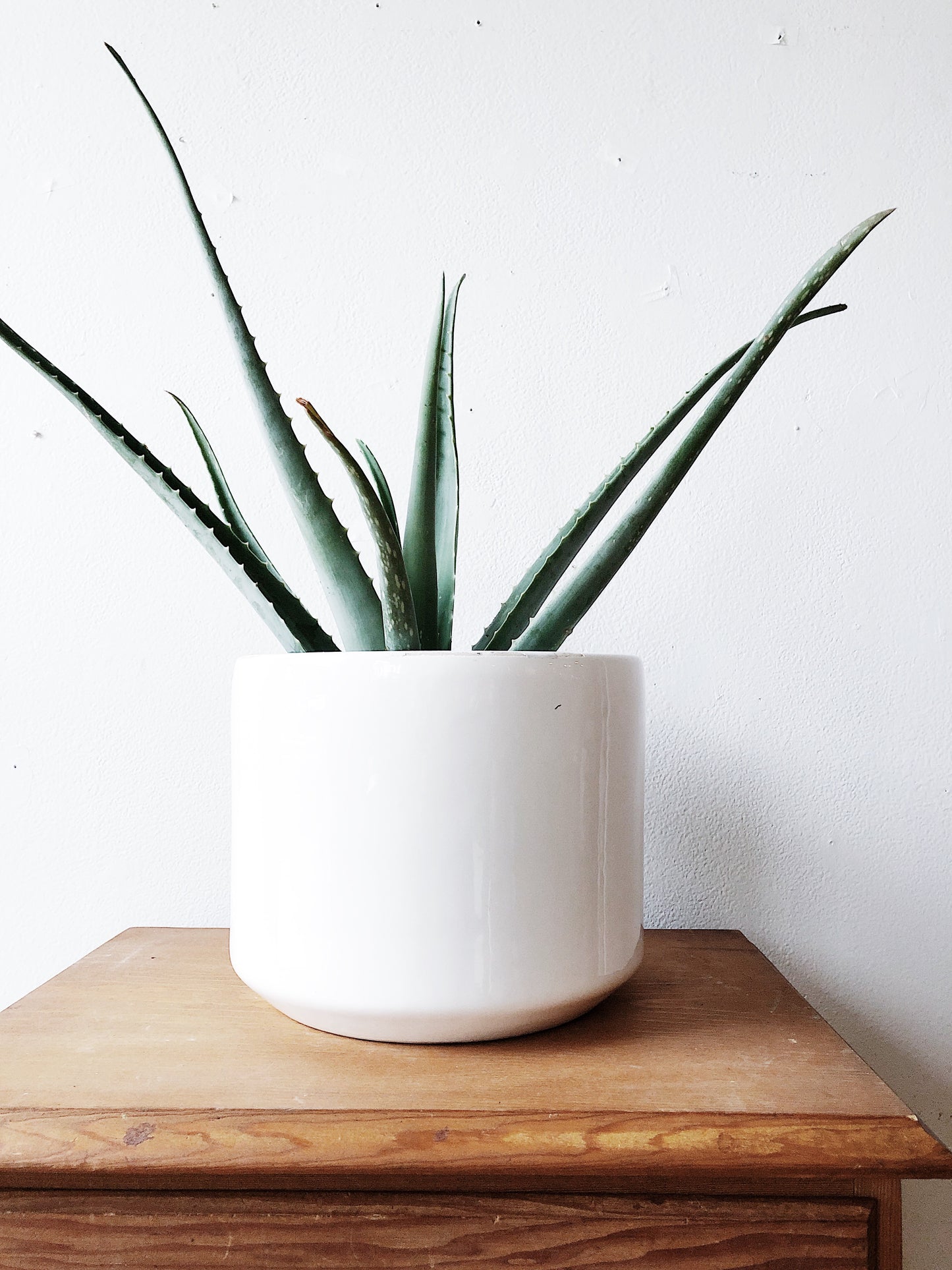 Vintage Mid Century Ceramic Pot