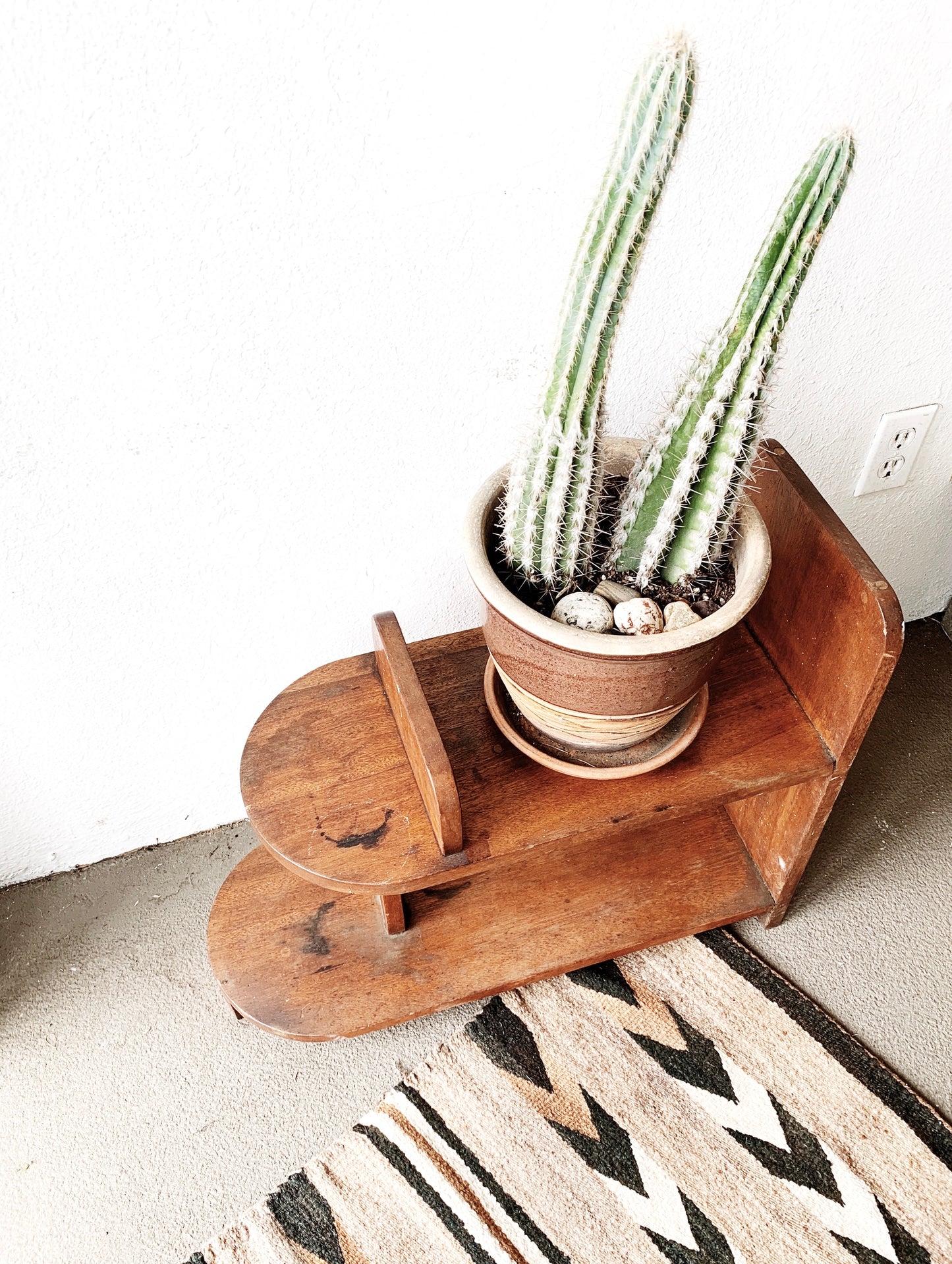 Large Potted Double Cactus