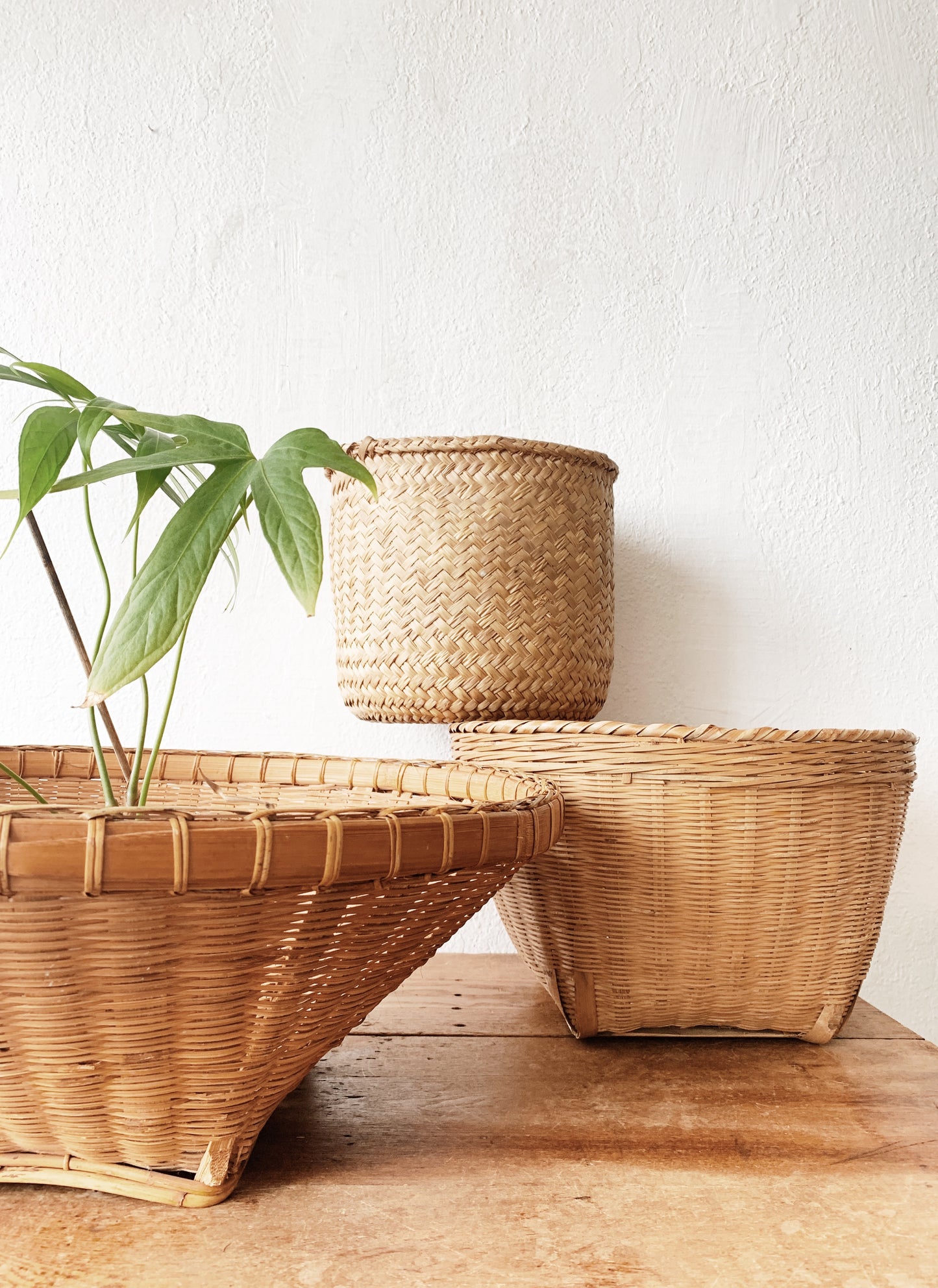 Vintage Plant Basket
