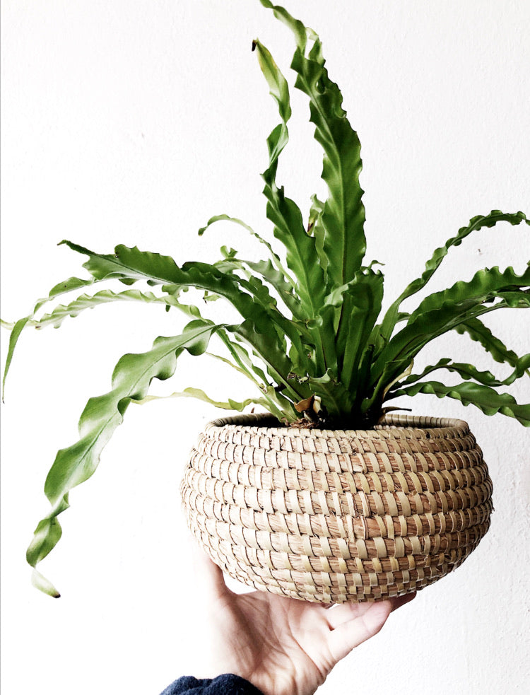 Vintage Basket Collection