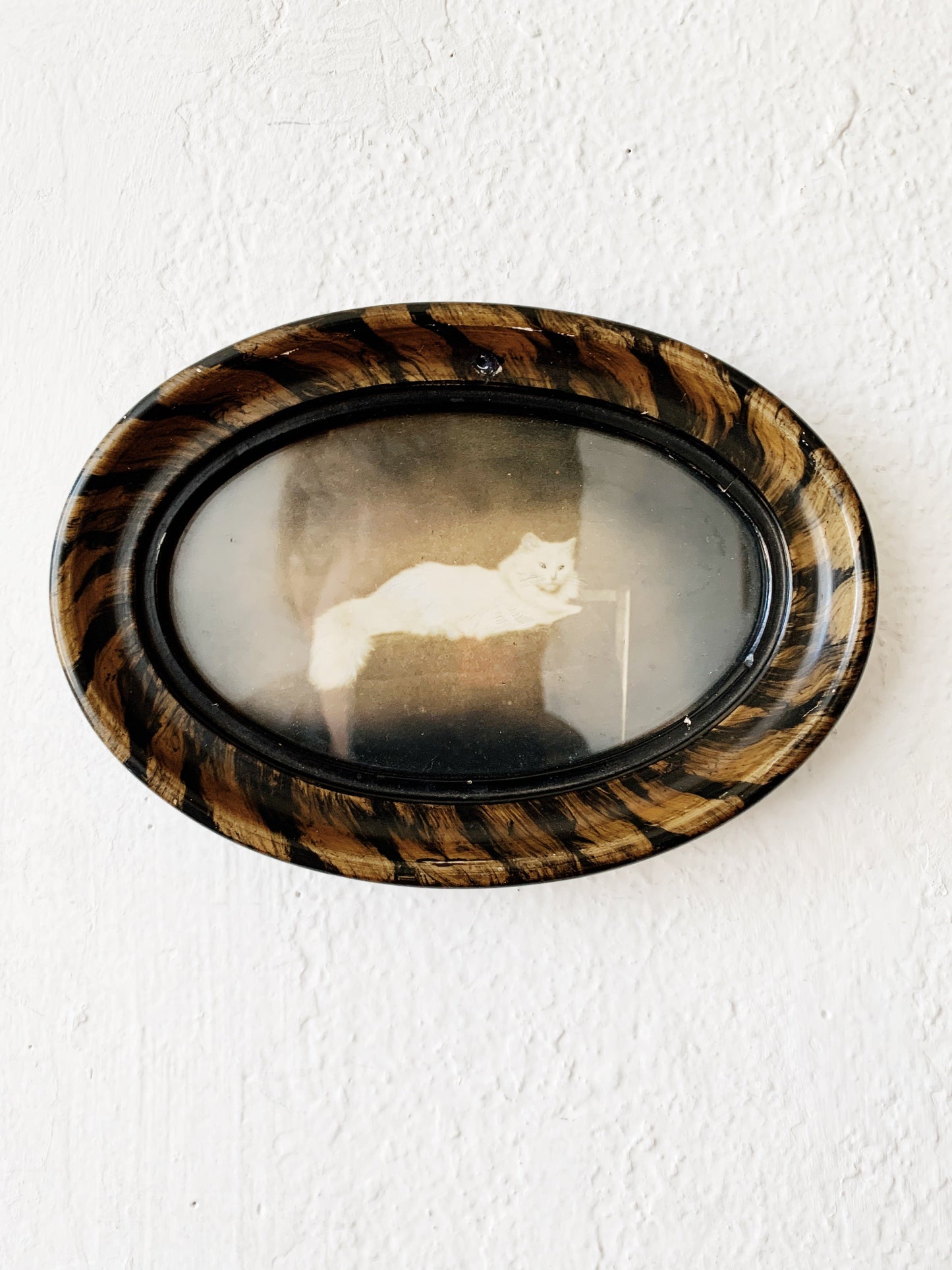 Antique Framed Feline Portrait