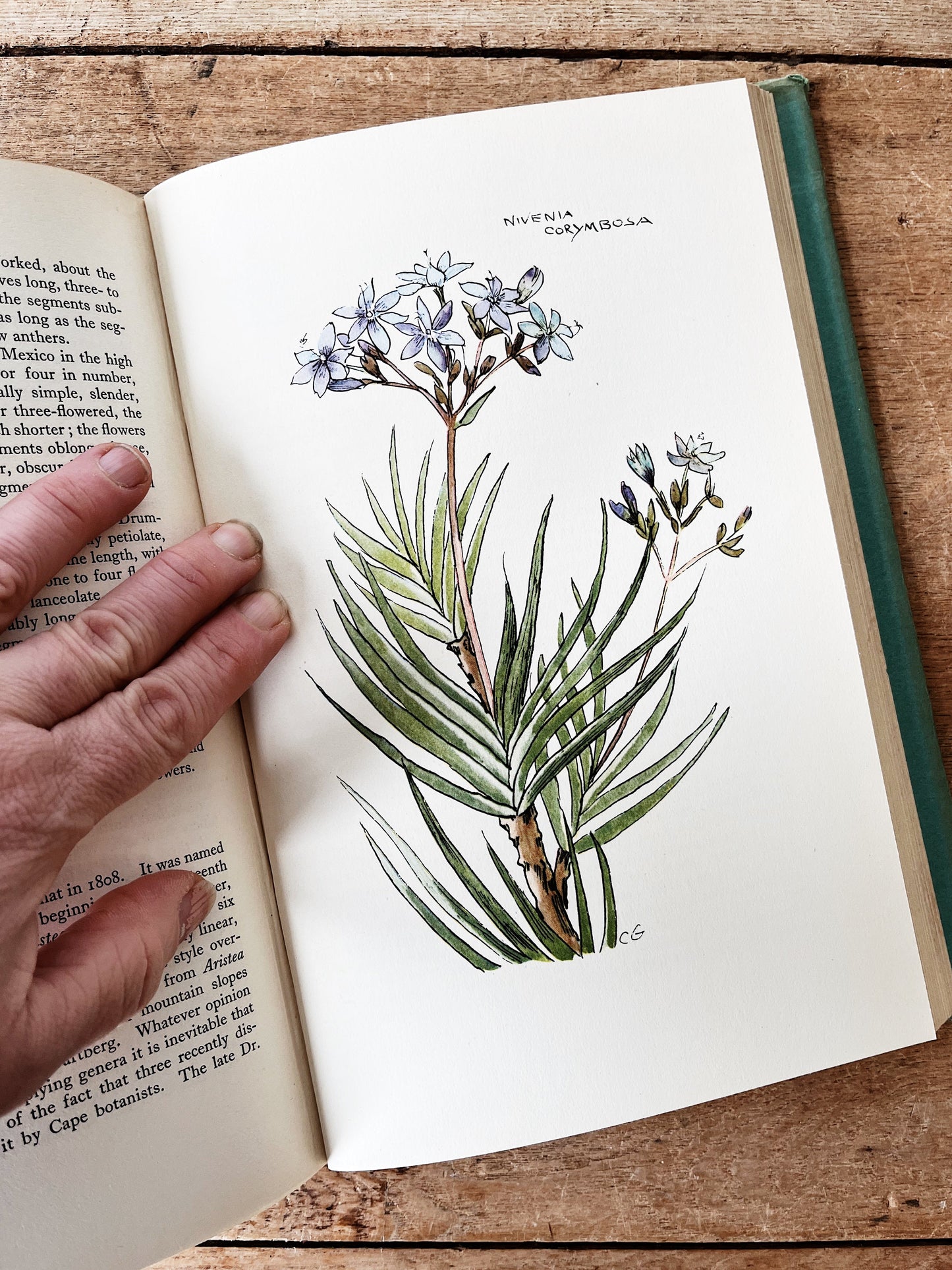 1930s Gardening Books