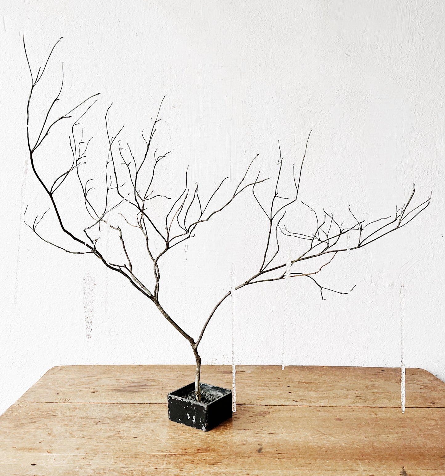 Set of Glass Icicle Ornaments