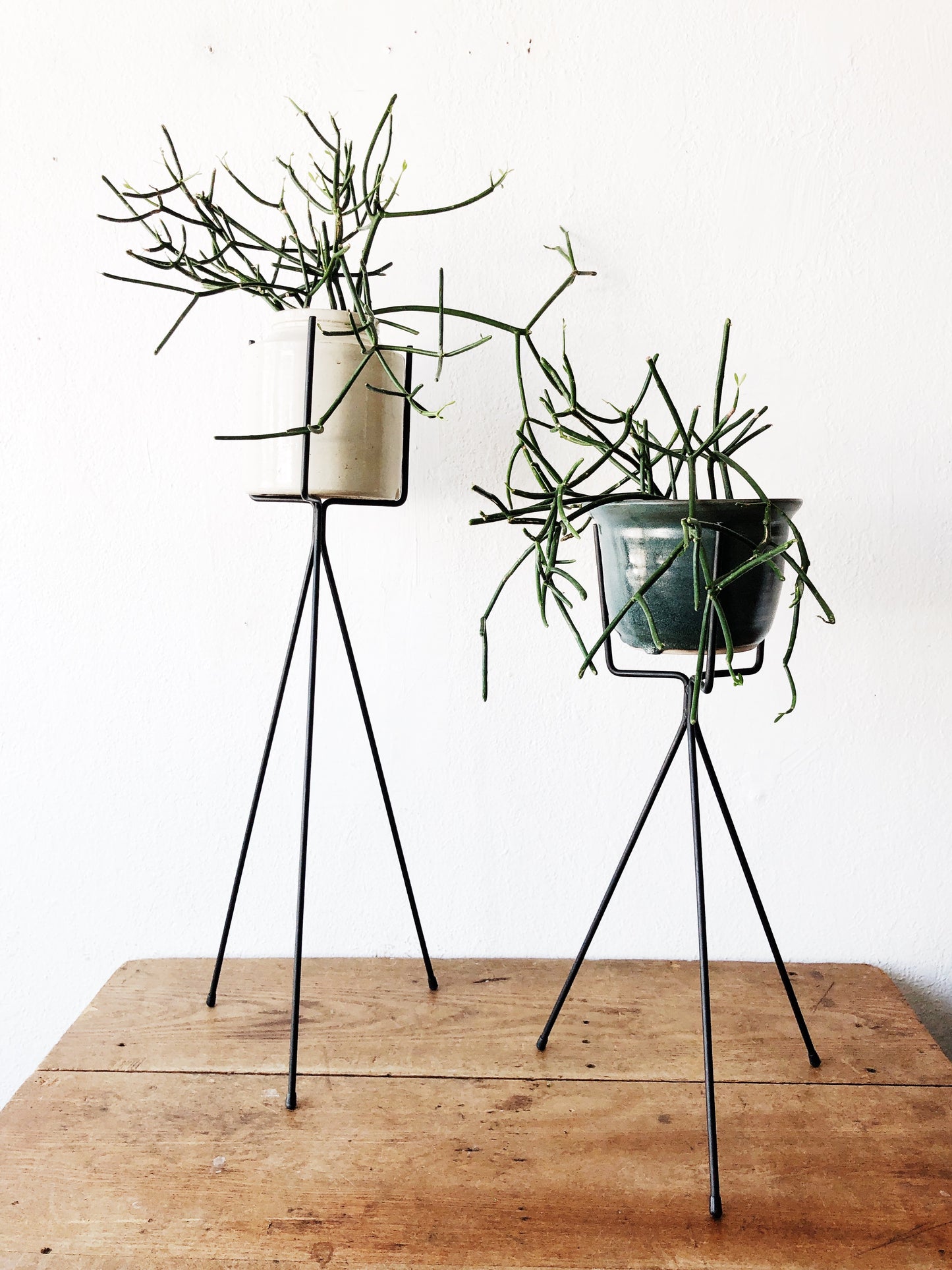 MCM Plant Stand